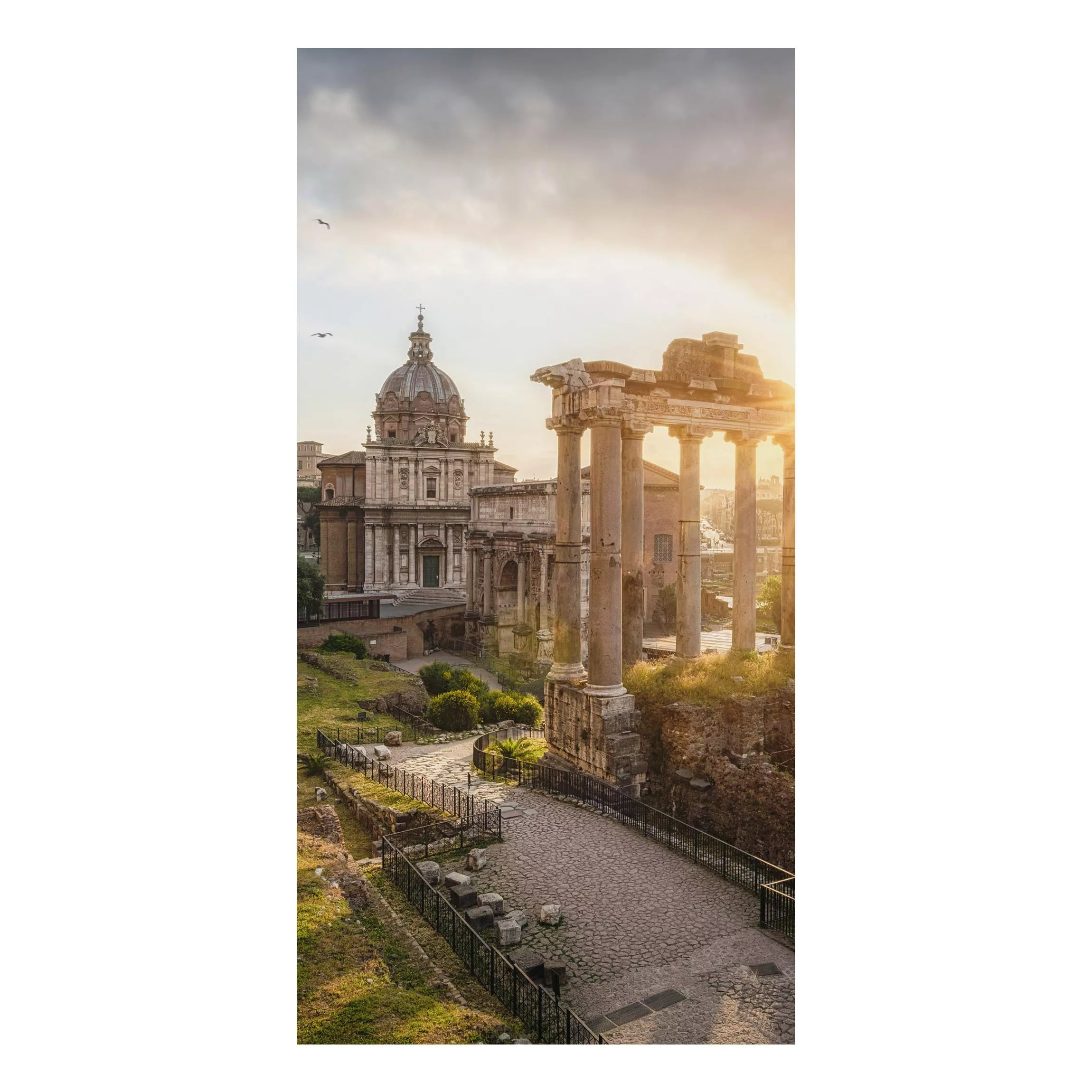 Alu-Dibond Bild Forum Romanum bei Sonnenaufgang günstig online kaufen
