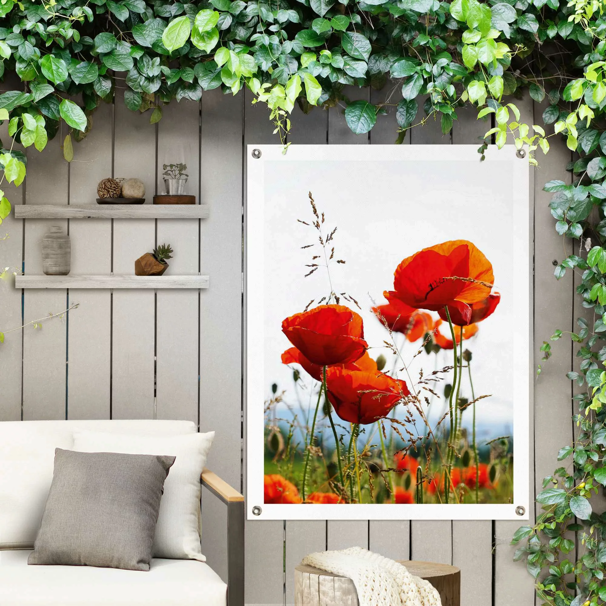 Reinders! Poster »Mohnblumen«, Outdoor für Garten oder Balkon günstig online kaufen