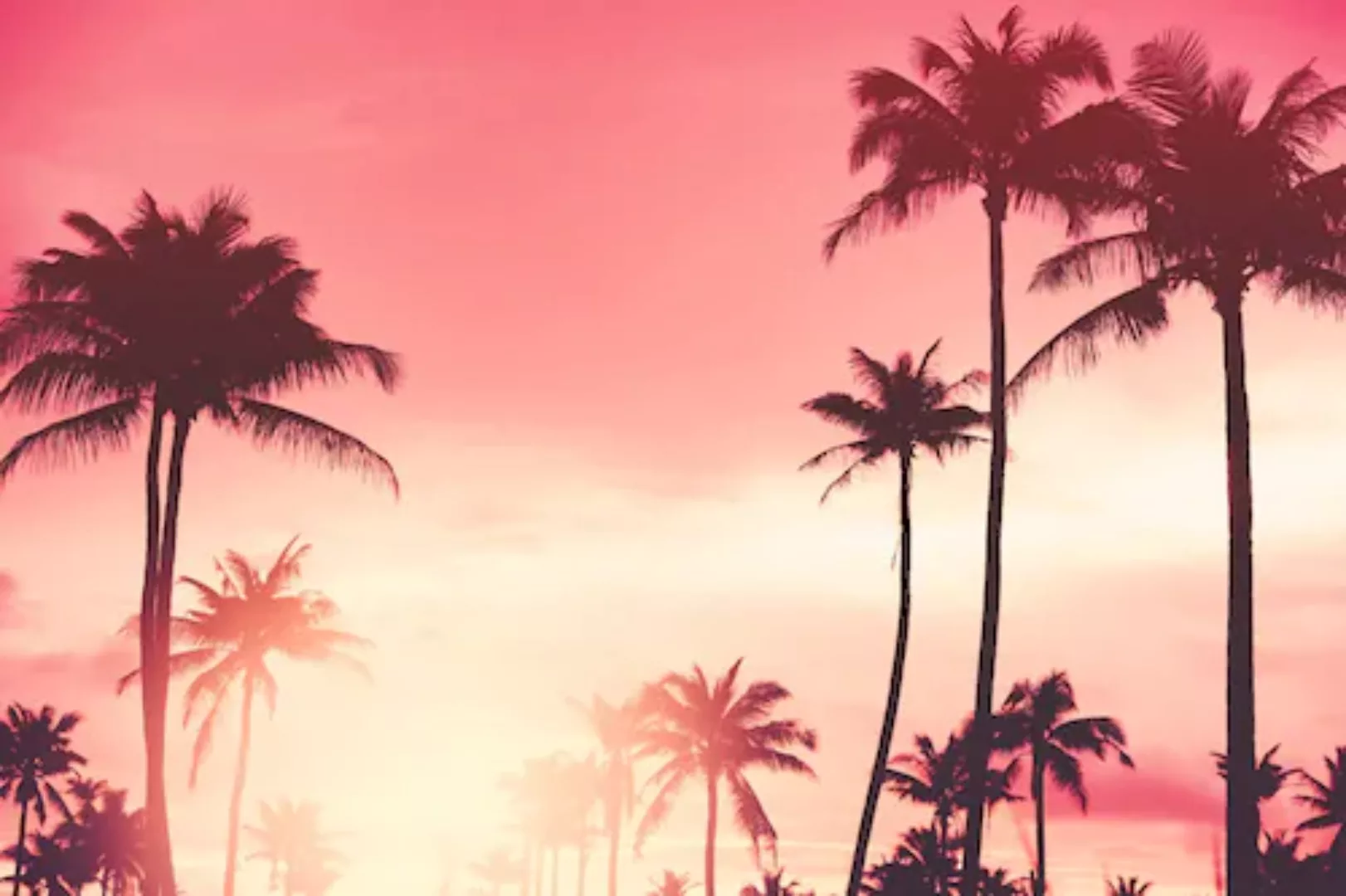 queence Acrylglasbild "Palmen im Sonnenuntergang" günstig online kaufen