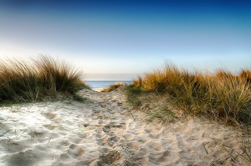 Papermoon Fototapete »Strand« günstig online kaufen