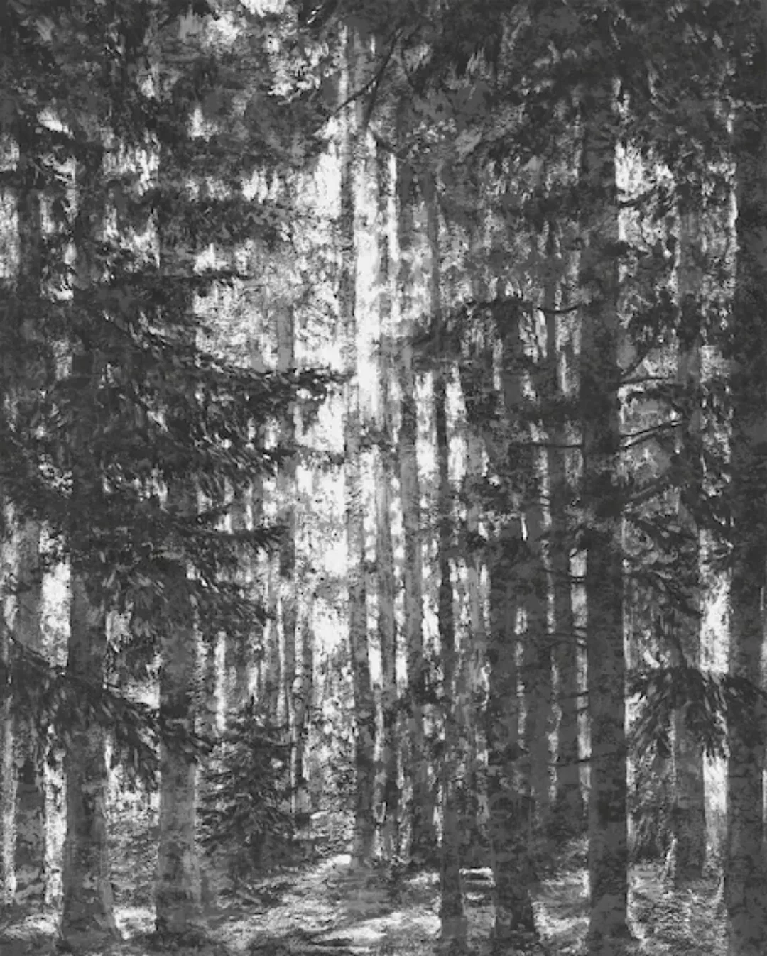 Komar Vliestapete »Lustres Lapland«, 200x250 cm (Breite x Höhe), Vliestapet günstig online kaufen