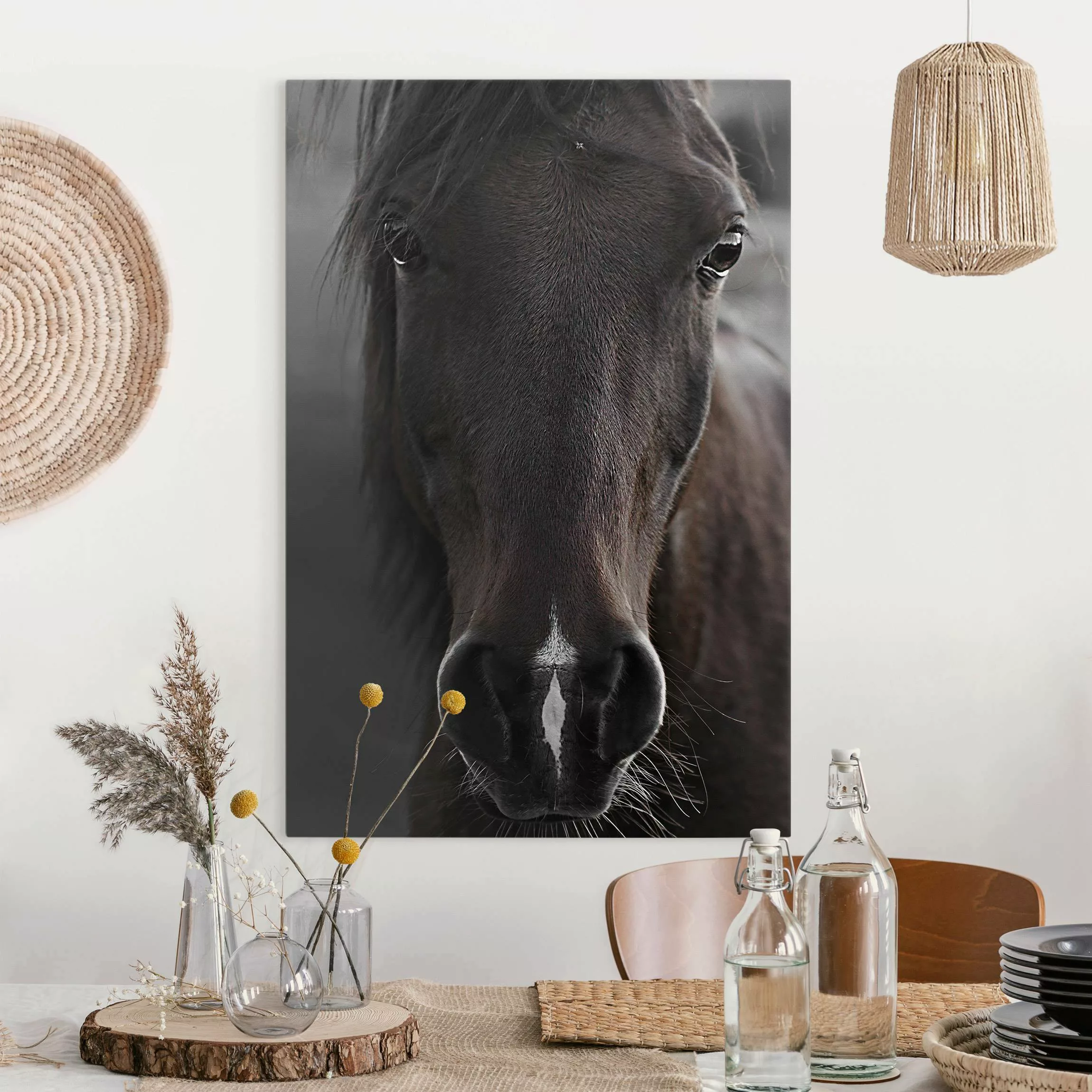 Leinwandbild Dunkles Pferd günstig online kaufen