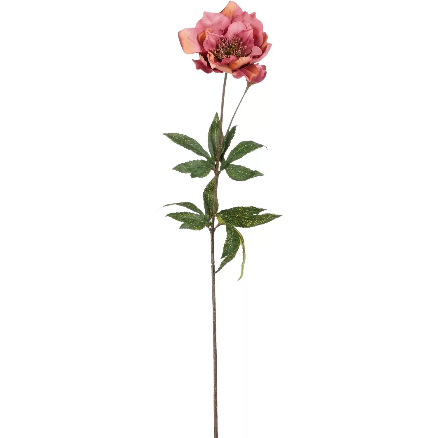 Mica Decorations Zweig Helleborus 60 cm Rosa günstig online kaufen