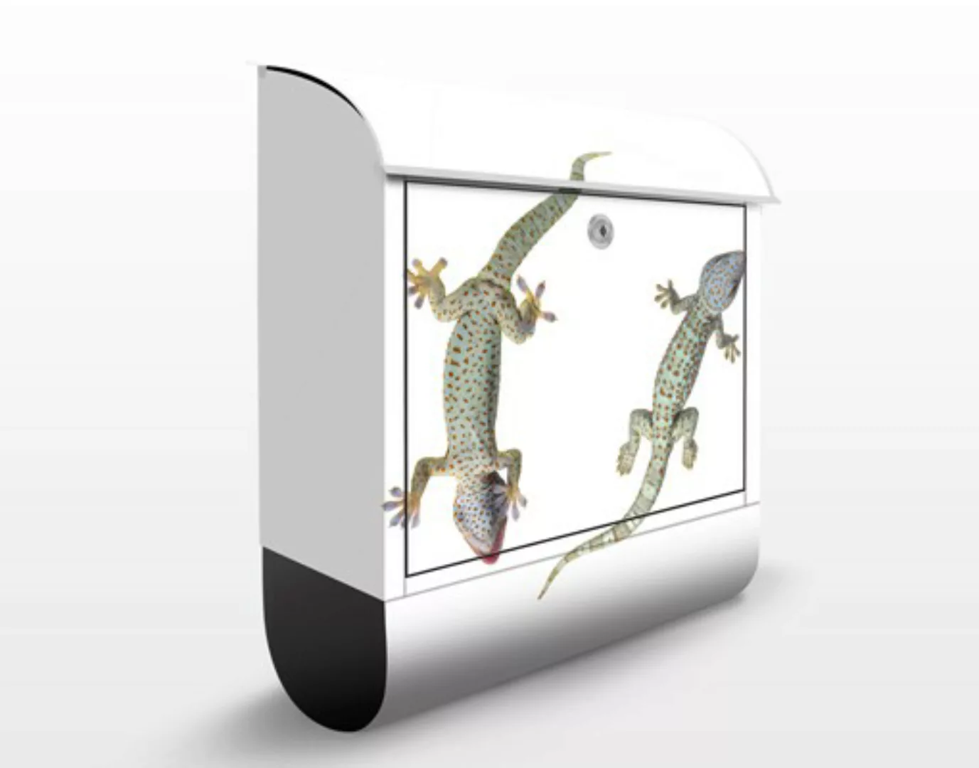 Briefkasten Tiere No.250 Neugierige Geckos günstig online kaufen