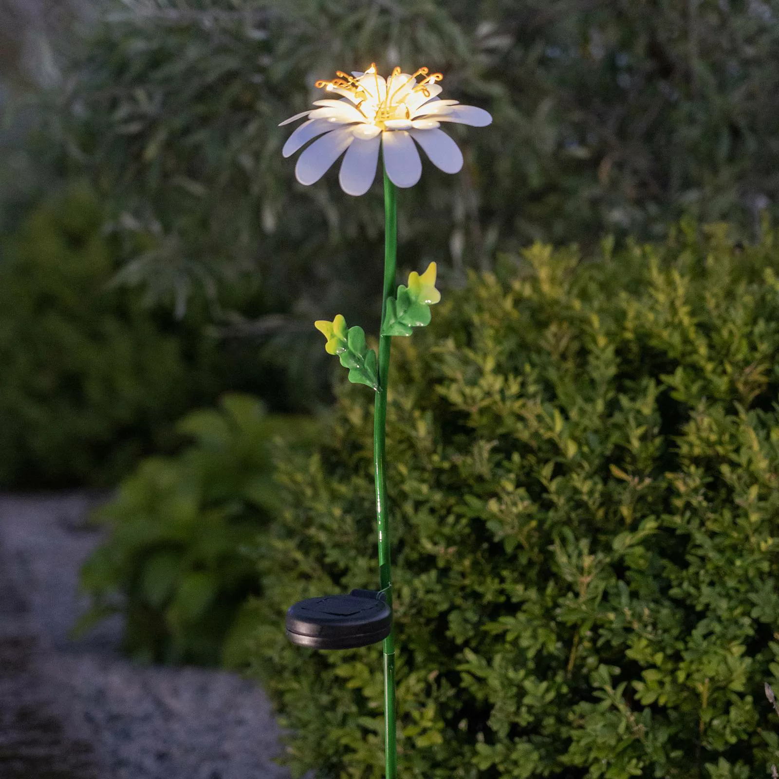 LED-Solarleuchte Daisy in Gänseblümchenform günstig online kaufen