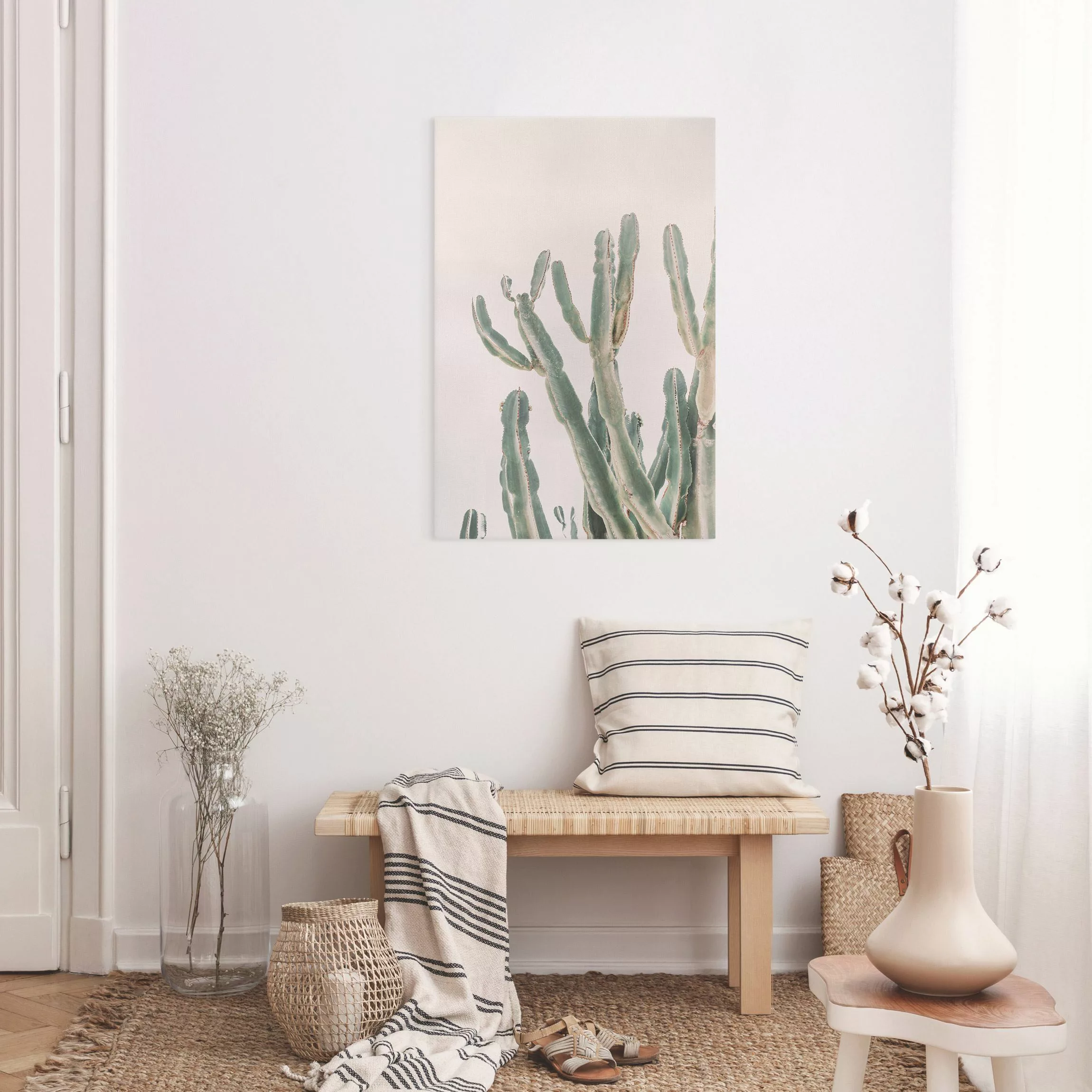 Leinwandbild Kaktus vor Pastellrosa günstig online kaufen
