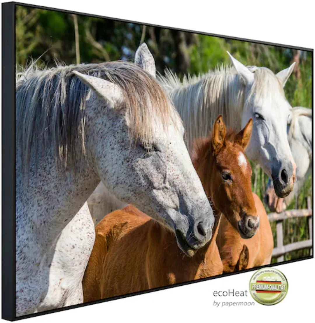 Papermoon Infrarotheizung »Camargue Pferdefohlen« günstig online kaufen