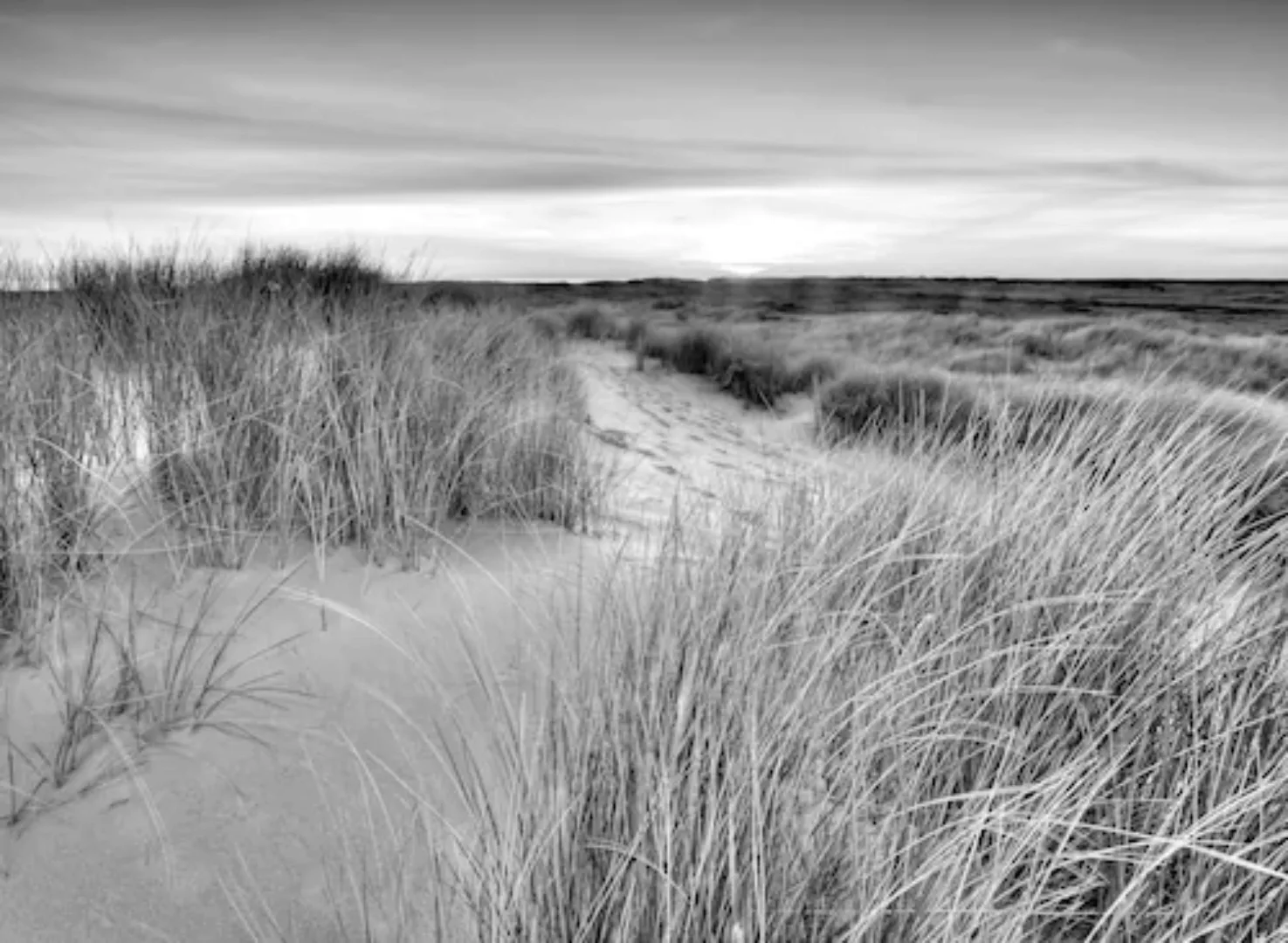 Papermoon Fototapete »Landschaft schwarz & weiß« günstig online kaufen