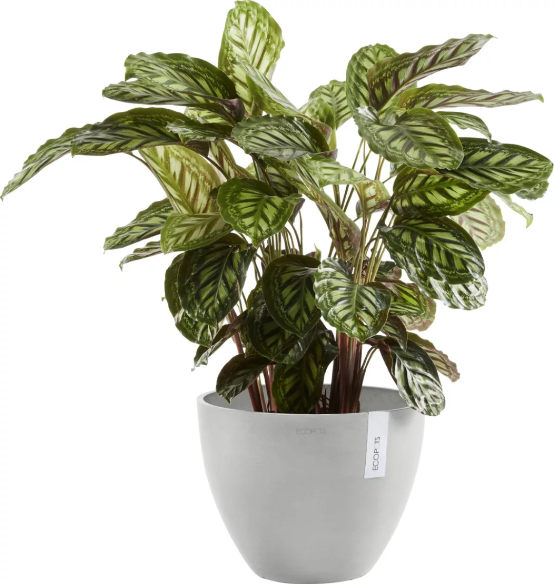 Ecopots Pflanztopf Antwerp Weißgrau 30 cm x 25,5 cm günstig online kaufen