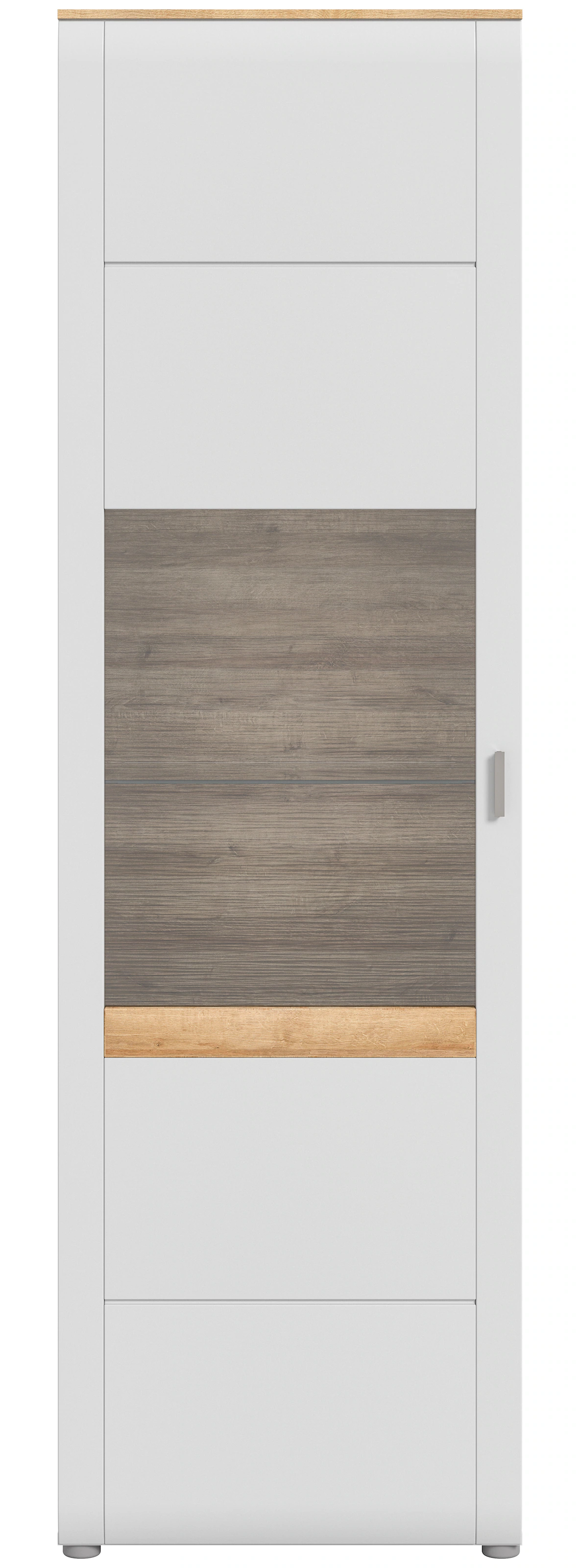INOSIGN Standvitrine "Aska, Höhe 202cm, Metallgriff, 1 Glastür, 1 Glaseinle günstig online kaufen