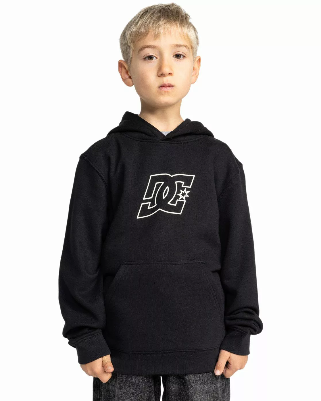 DC Shoes Hoodie Pallet Ph günstig online kaufen