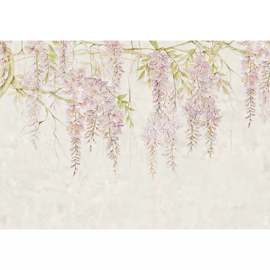 Komar Fototapete Wisteria B/L: ca. 400x280 cm günstig online kaufen