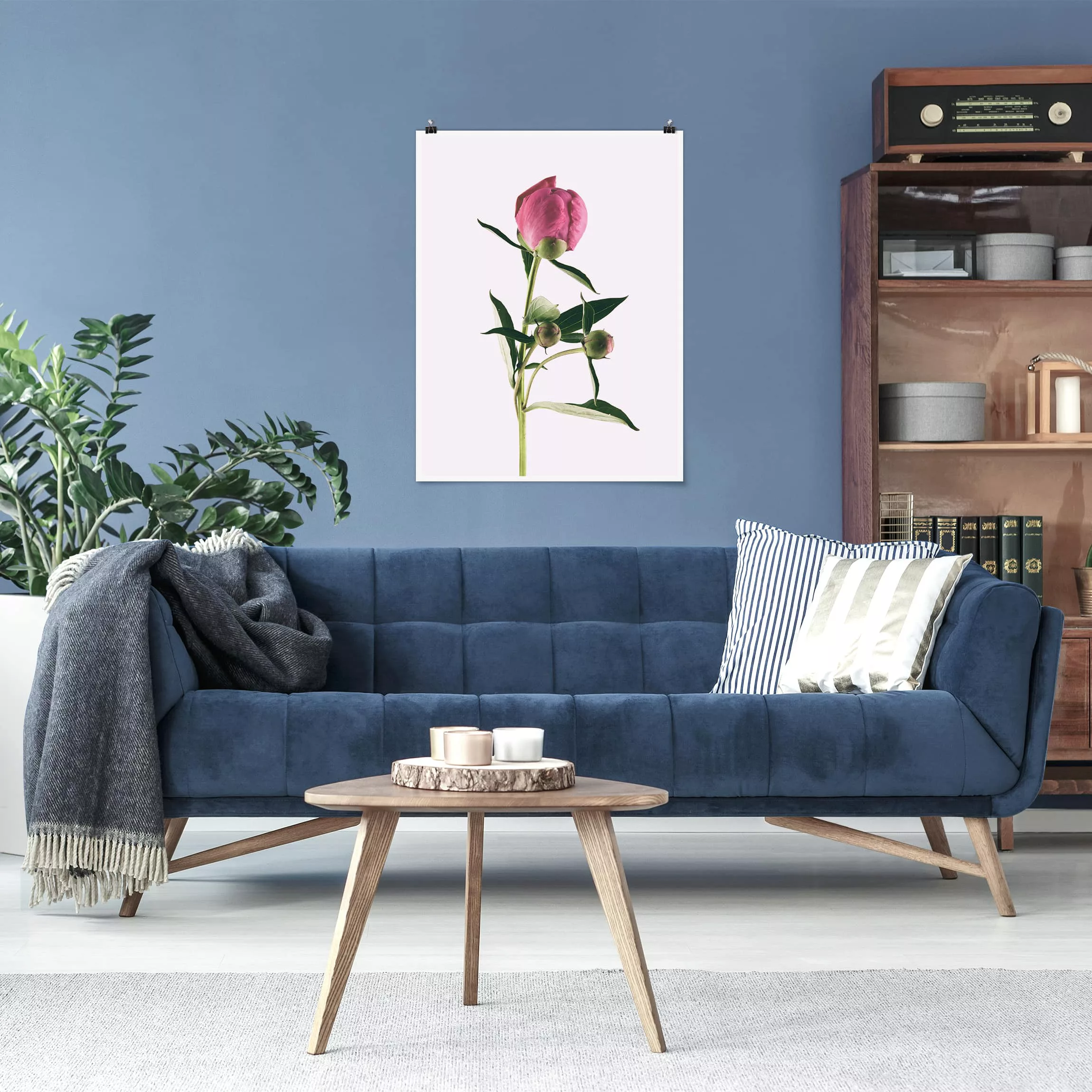 Poster Blumen - Hochformat Pfingstrose Pink auf Weiß günstig online kaufen