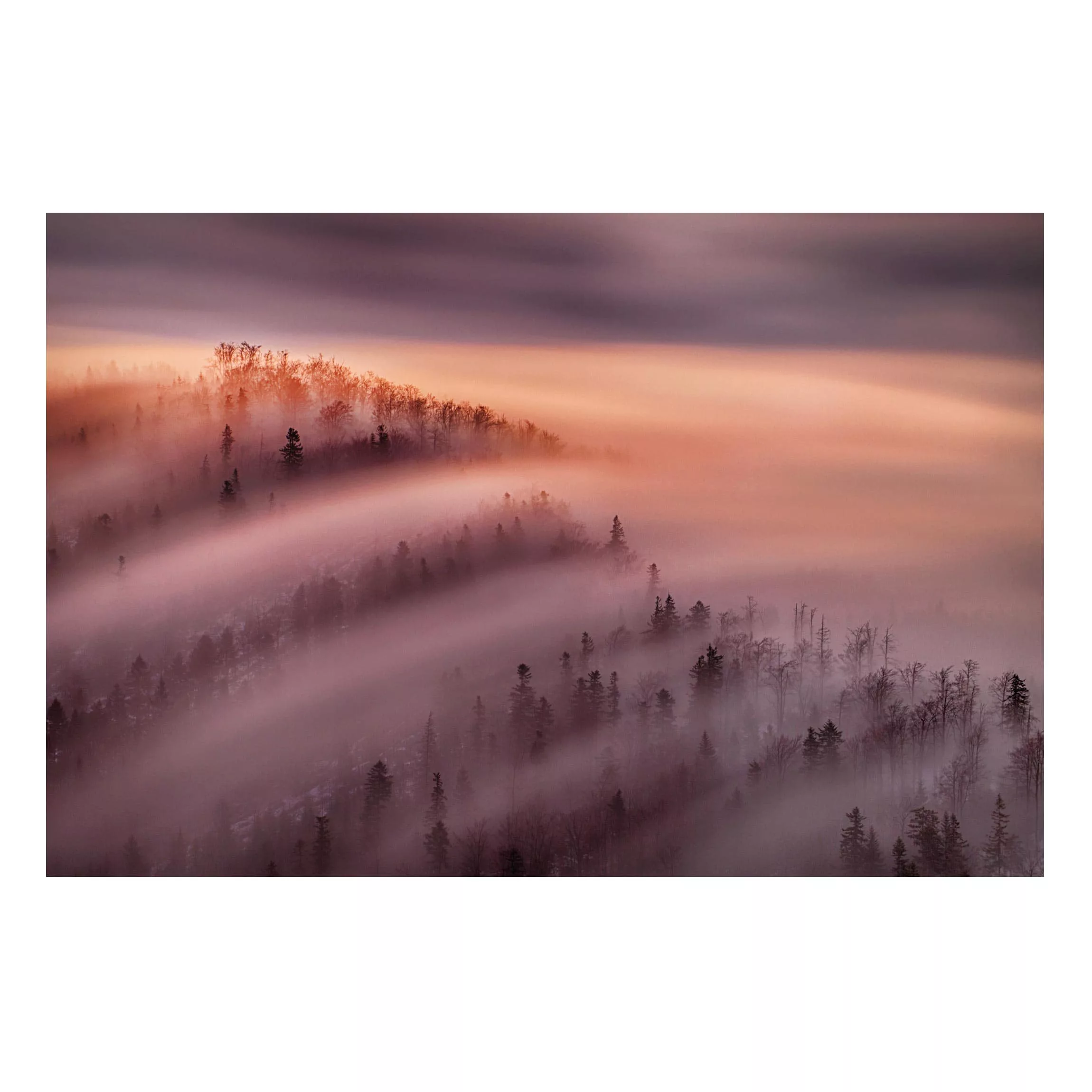 Magnettafel Natur & Landschaft - Querformat 3:2 Nebelflut günstig online kaufen