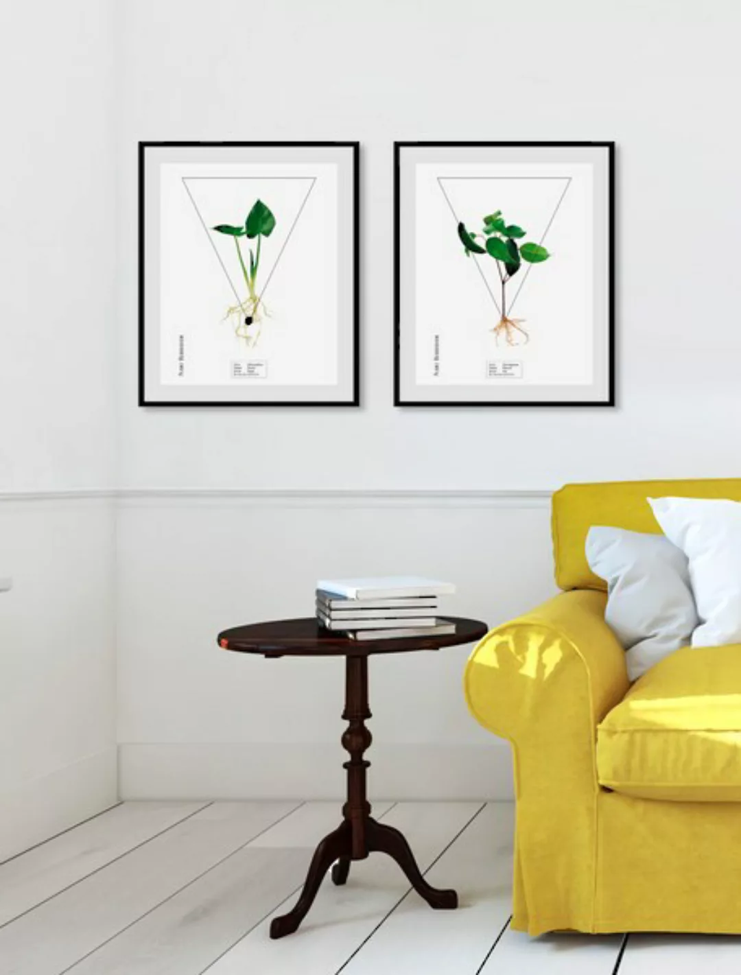 queence Bild »Calla palustrisa«, (1 St.) günstig online kaufen