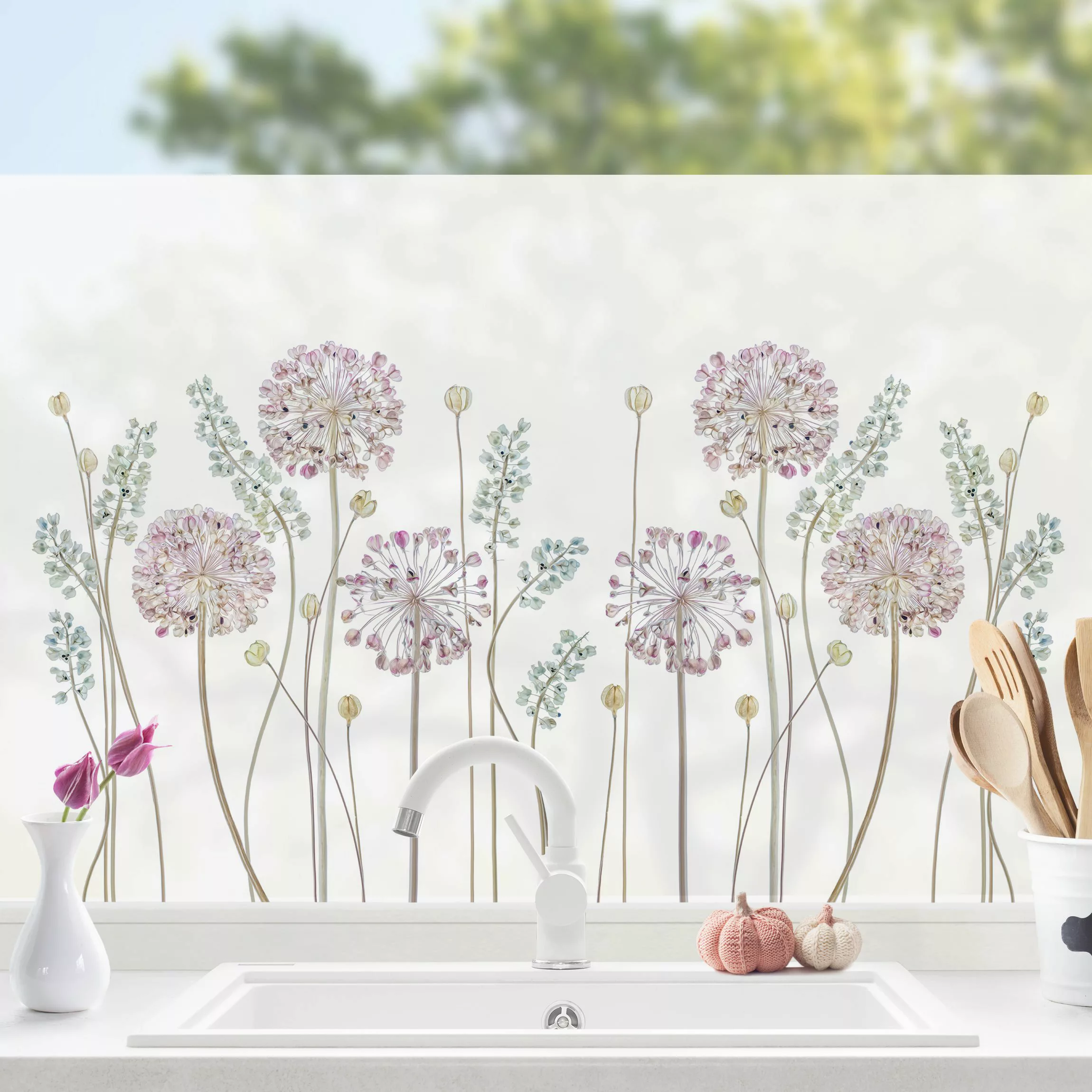 Fensterfolie Allium Illustration günstig online kaufen