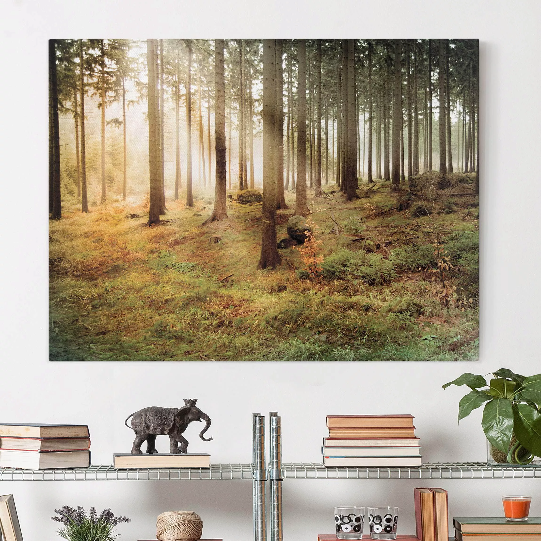 Leinwandbild Wald - Querformat Morning Forest günstig online kaufen