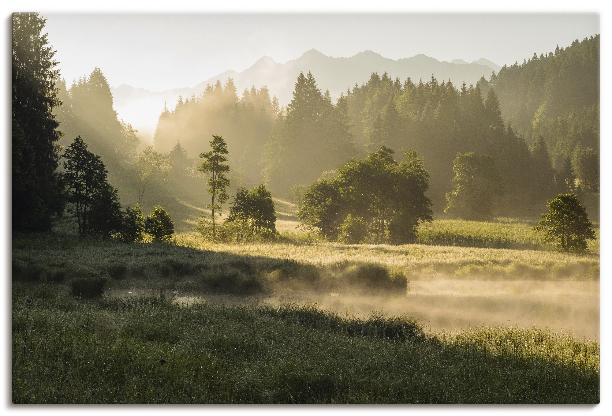 Artland Wandbild "Sommermorgen in den Alpen", Wiesen & Bäume, (1 St.), als günstig online kaufen