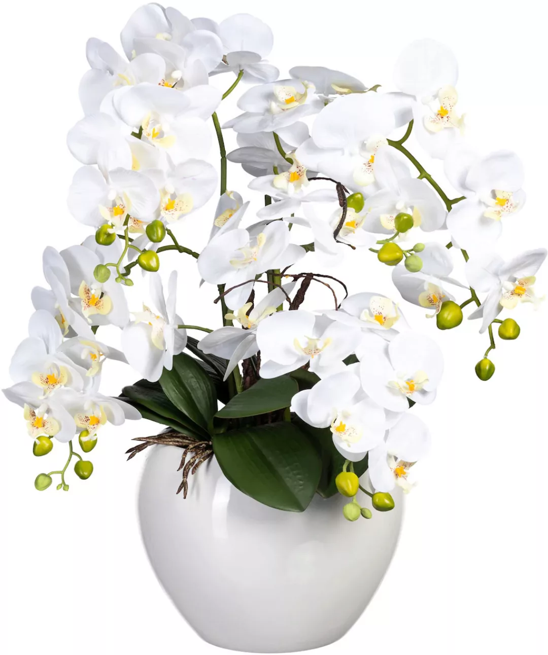 Creativ green Kunstorchidee "Phalaenopsis im Keramiktopf" günstig online kaufen