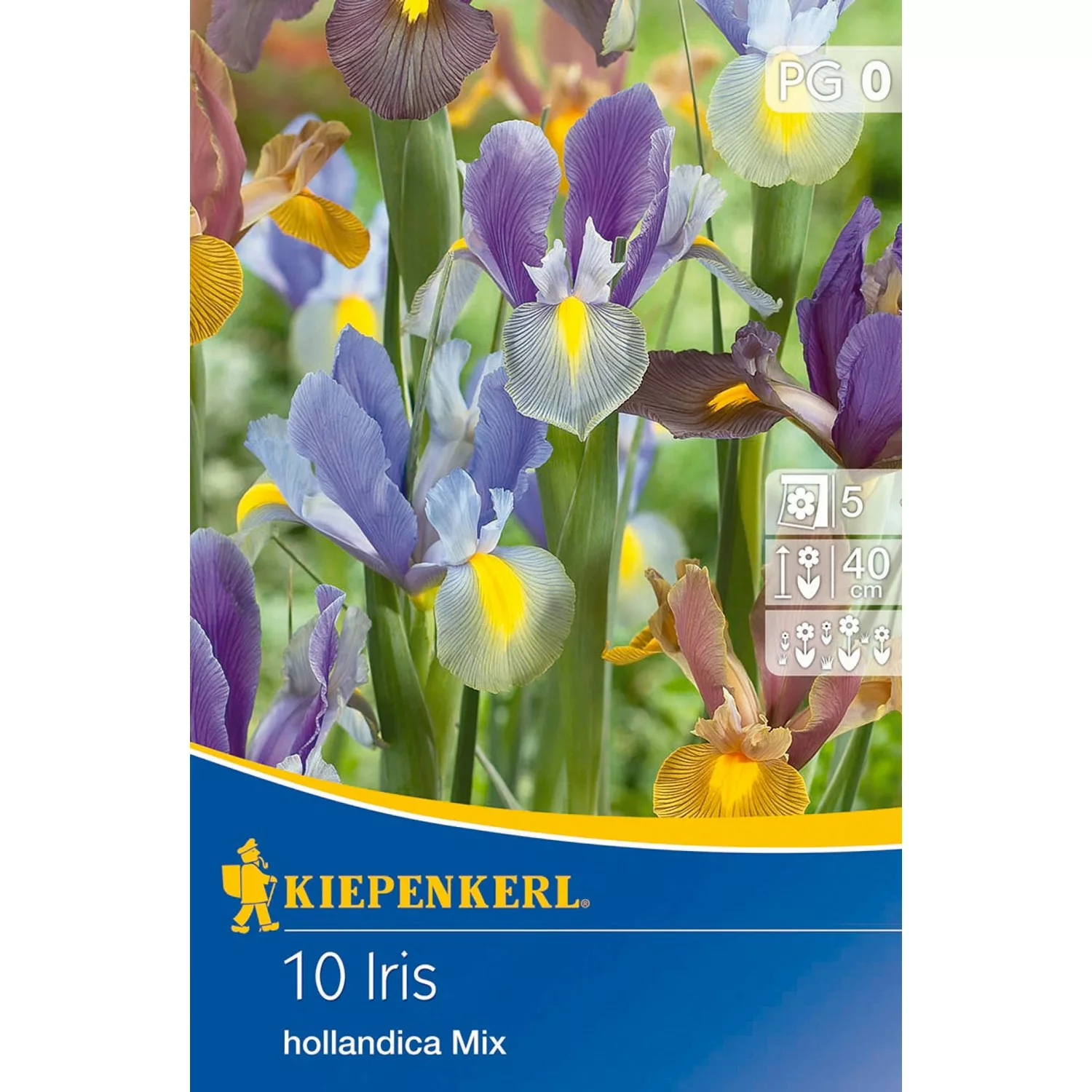 Kiepenkerl Blumenzwiebeln Schwertlilien Hollandica Mix 10 Stück Iris günstig online kaufen