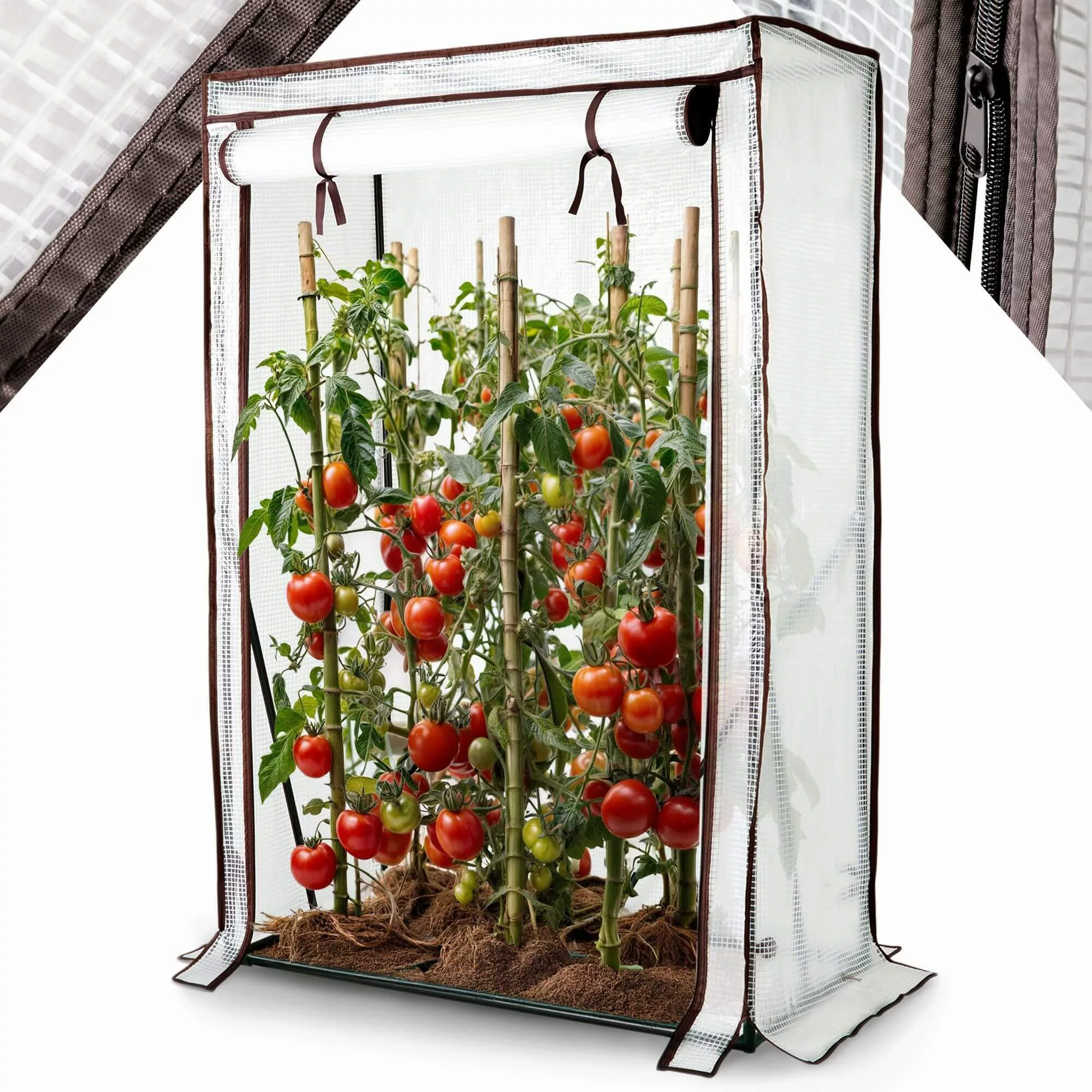 Arebos Tomatengewächshaus Treibhaus Frühbeet Foliengewächshaus, BxTxH: günstig online kaufen