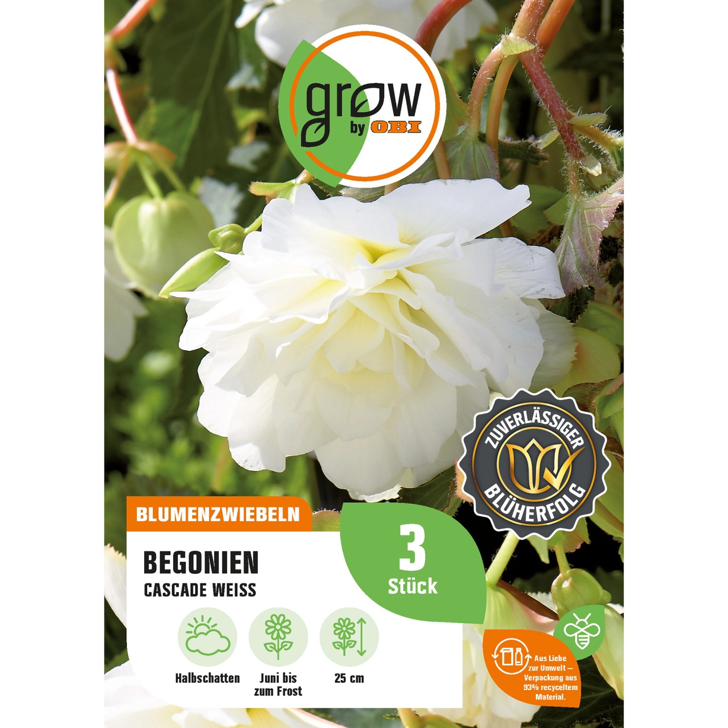 GROW by OBI Begonie Cascade Weiss Höhe ca. 25 cm Begonia cascade günstig online kaufen