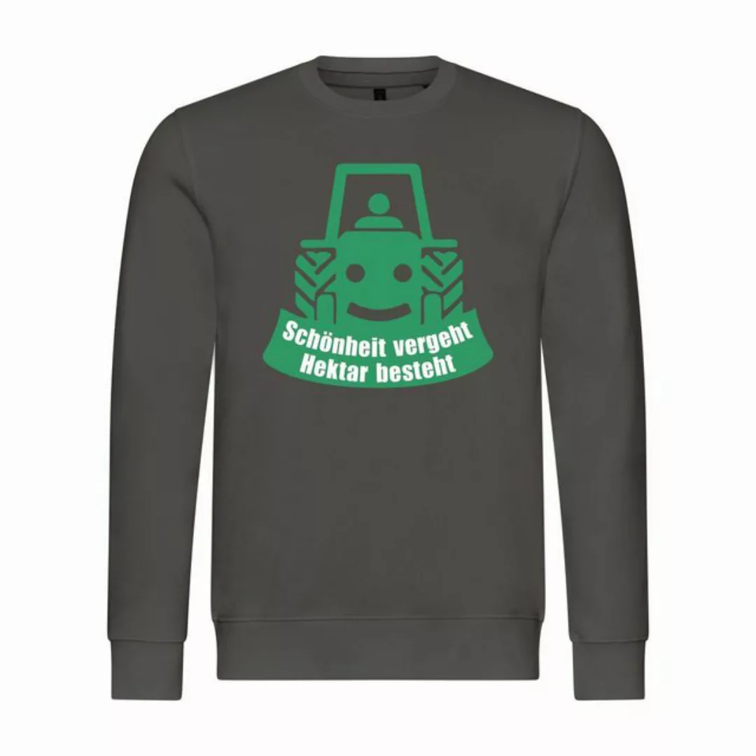 deinshirt Rundhalspullover Herren Pullover Schönheit vergeht Hektar besteht günstig online kaufen