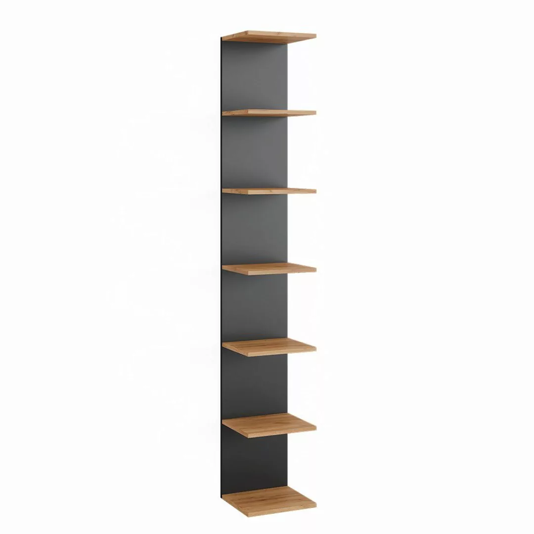 Vicco Bücherregal Paolo, Anthrazit/Goldkraft Eiche, 30 günstig online kaufen