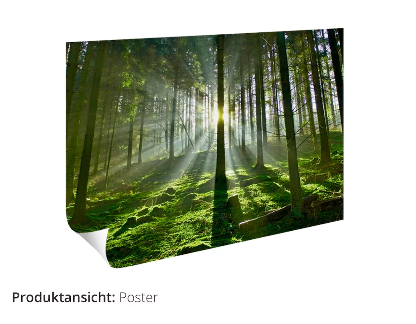 Artland Wandbild "Fensterblick Feld mit Mohnblumen", Fensterblick, (1 St.) günstig online kaufen