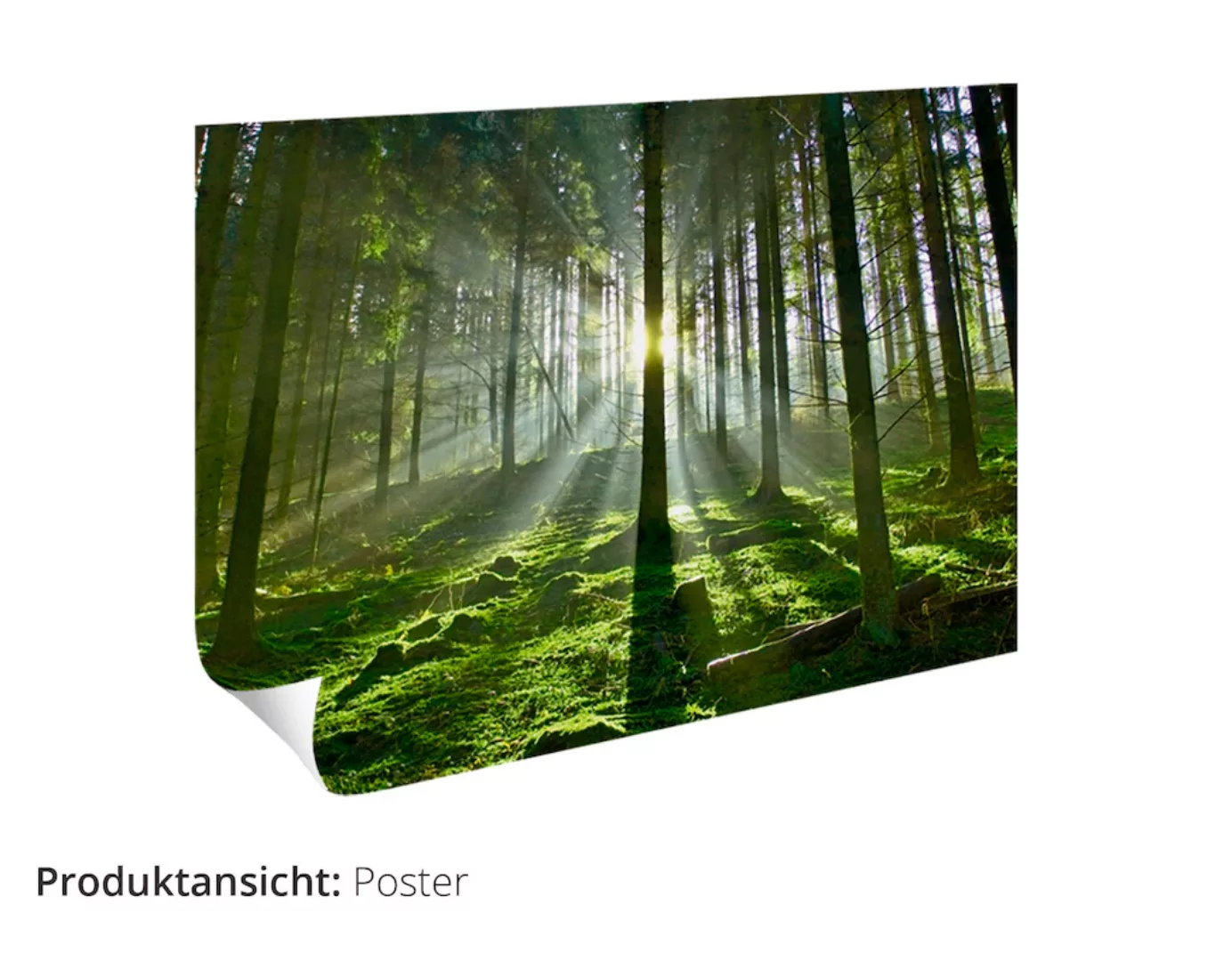 Artland Wandbild »Fensterblick - Wald mit Bach«, Wald, (1 St.), als Leinwan günstig online kaufen