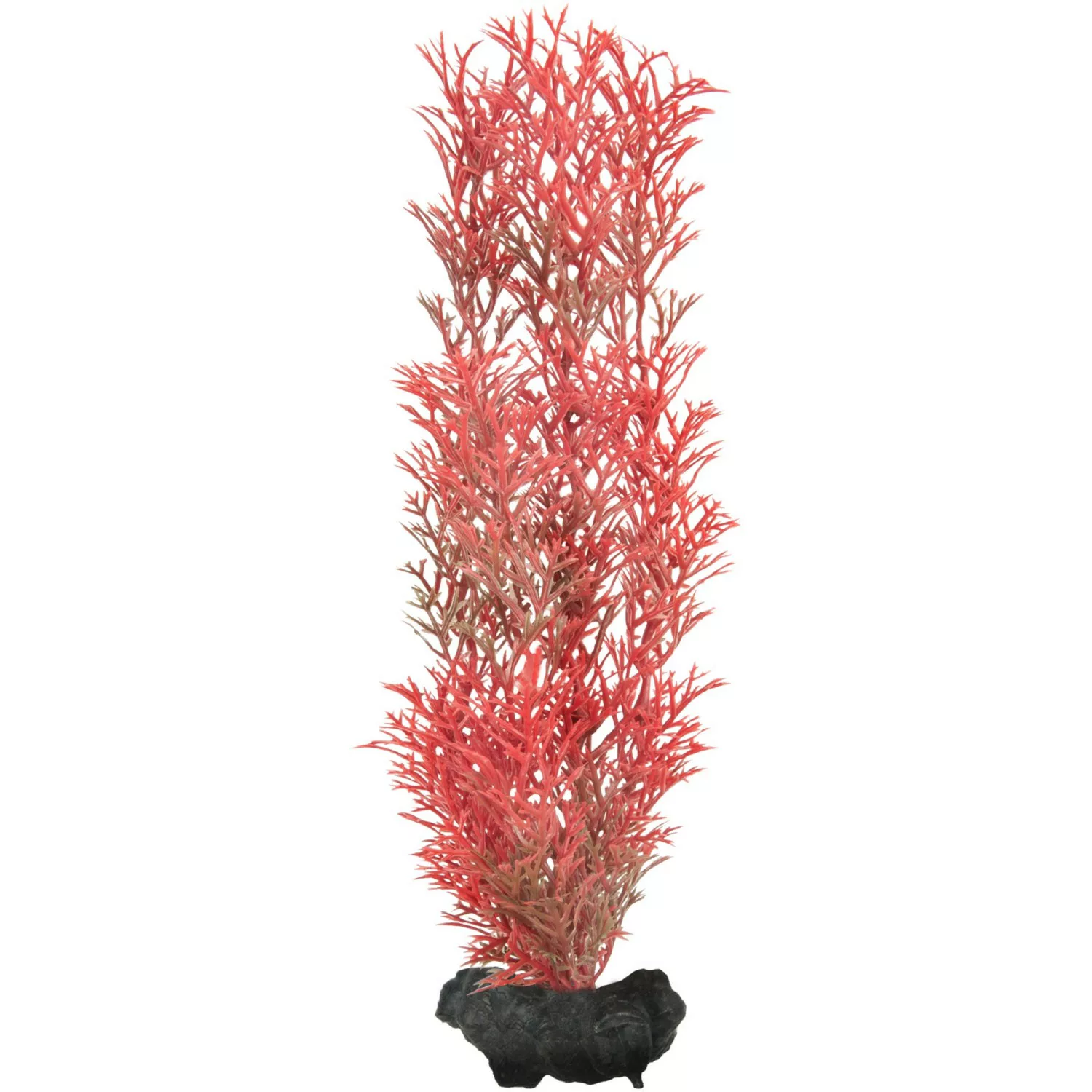 Tetra Kunstpflanze DecoArt Plant M Foxtail Red günstig online kaufen