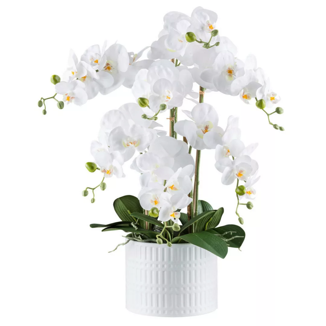 Kunstpflanze Phalaenopsis weiß Kunststoff B/H/L: ca. 24x62x24 cm günstig online kaufen