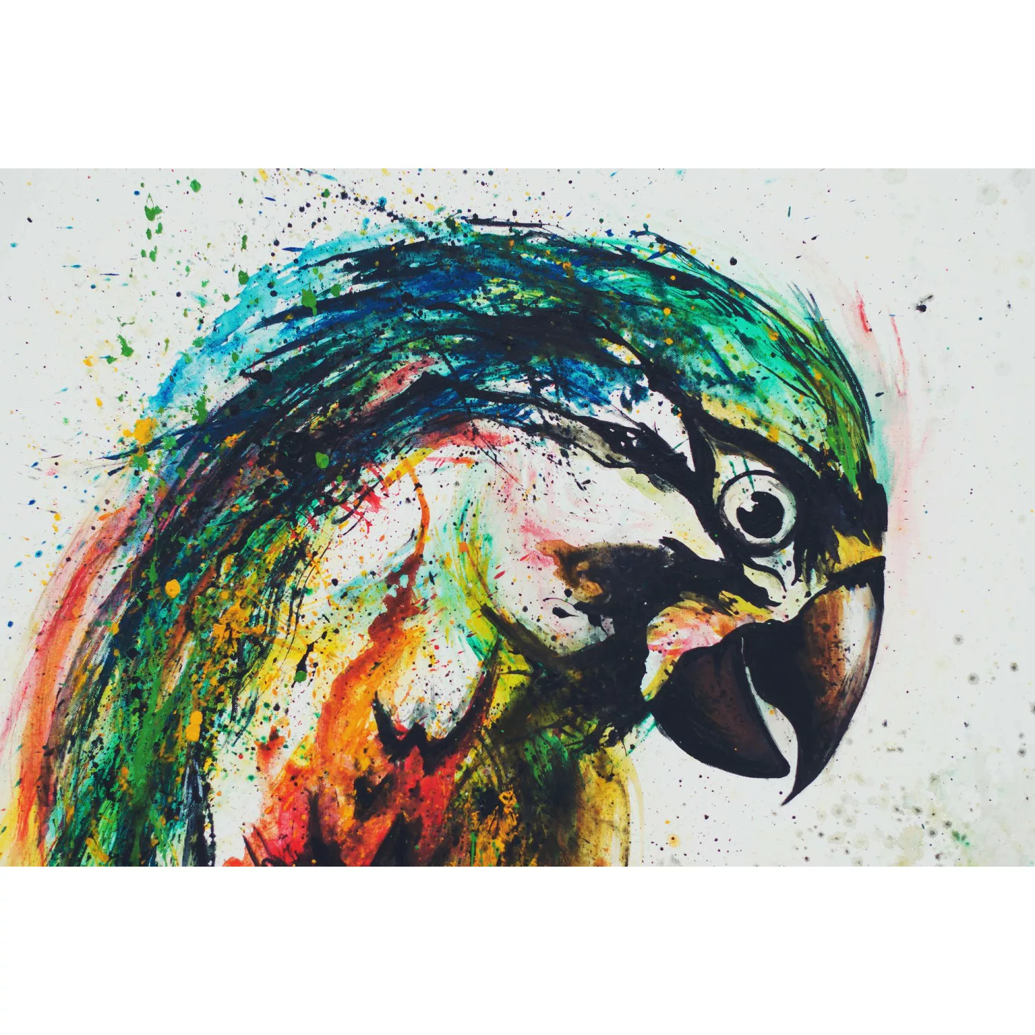 Fototapete Portrait Papagei Bunt 4,00 m x 2,70 m FSC® günstig online kaufen
