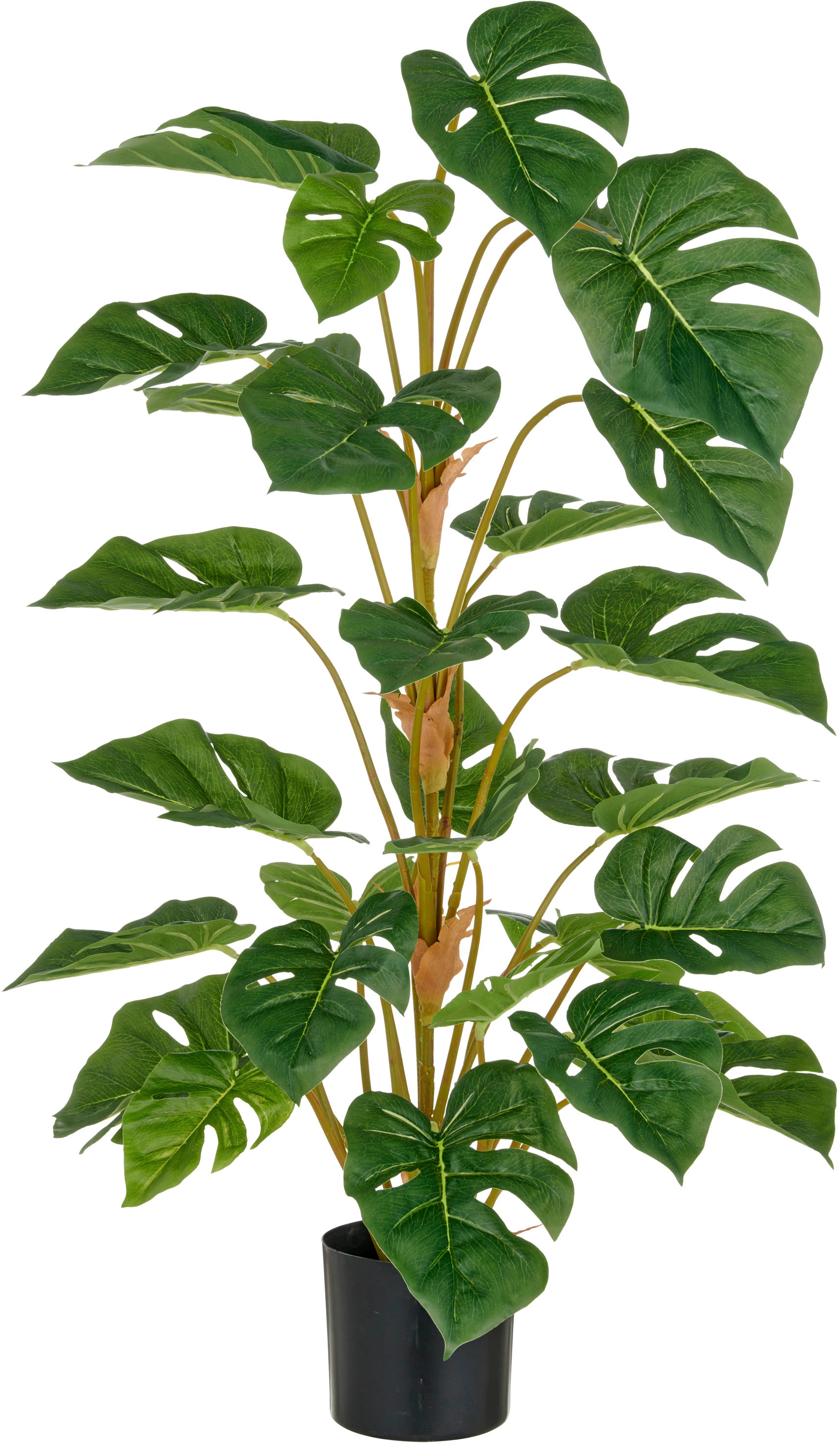 Creativ green Kunstpflanze "Split Philodendron", mit schönem Blattwerk günstig online kaufen