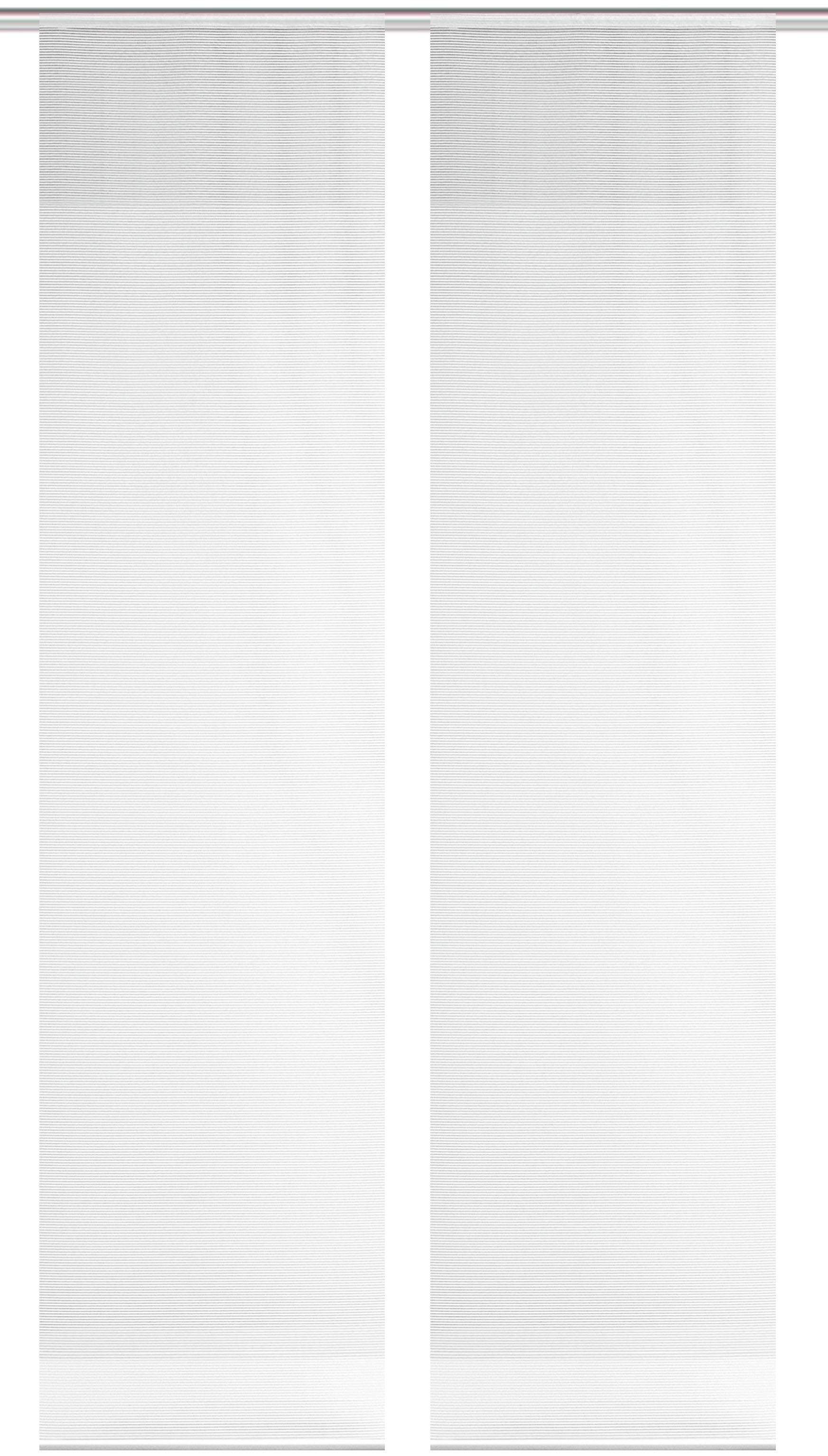 Vision S Schiebegardine »2ER SET ROM«, (2 St.), HxB: 260x60, Schiebevorhang günstig online kaufen