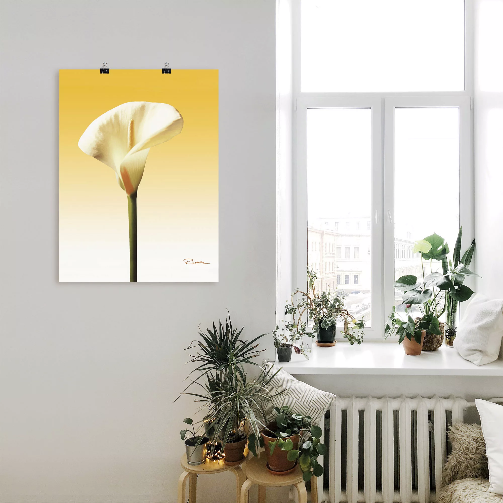 Artland Wandbild "Sonnenschein Calla II", Blumenbilder, (1 St.), als Leinwa günstig online kaufen