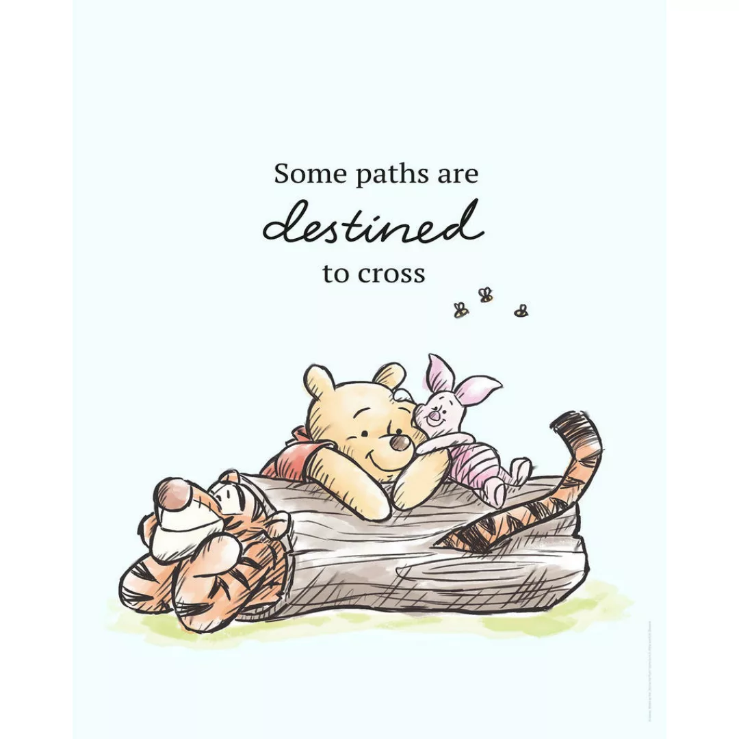 Komar Poster Winnie Pooh Path Disney B/L: ca. 40x50 cm günstig online kaufen