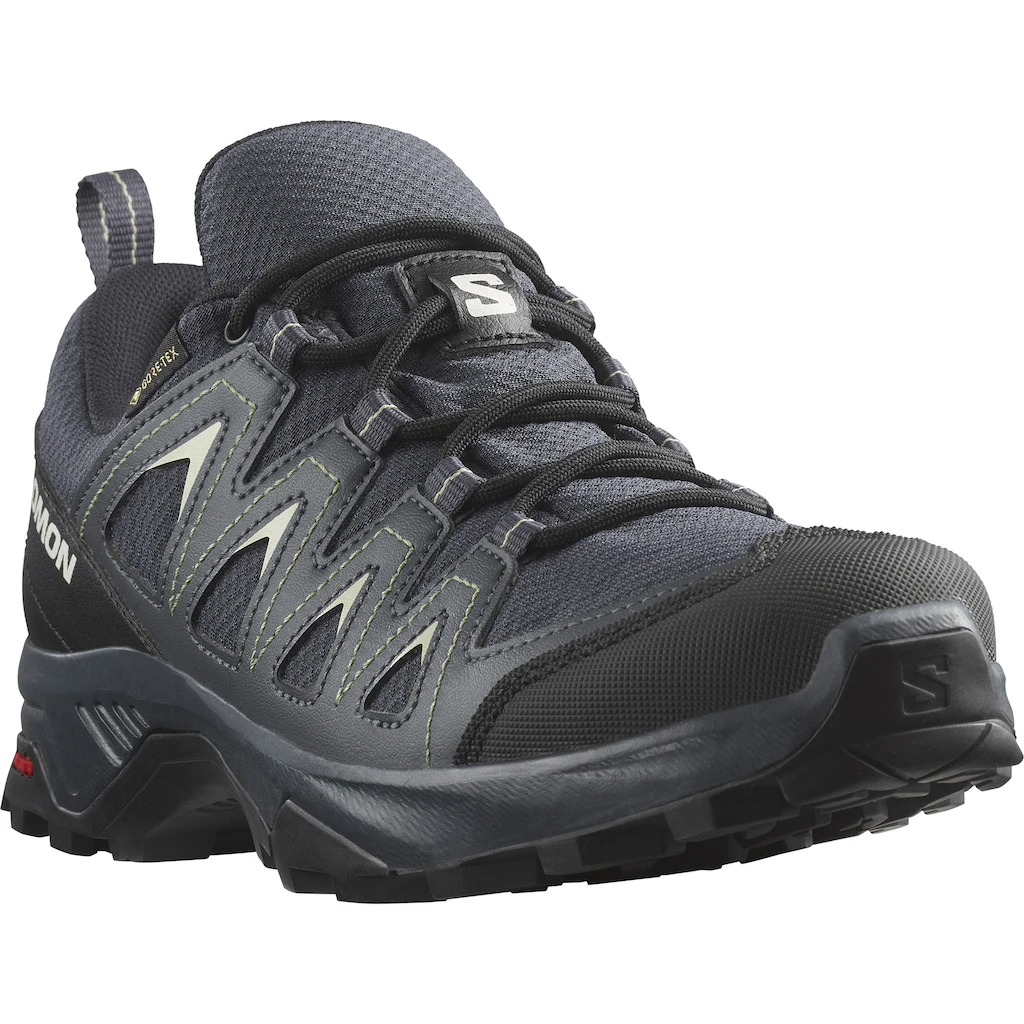 Salomon Wanderschuh "X BRAZE GORE-TEX", wasserdicht günstig online kaufen