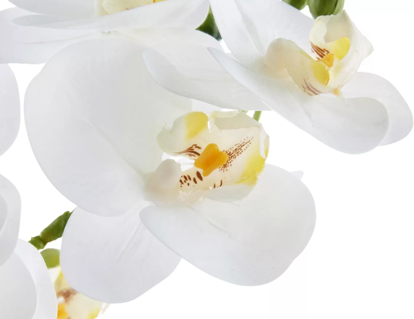 Leonique Kunstpflanze "Orchidee", Kunstorchidee, im Topf, Bestseller, über günstig online kaufen