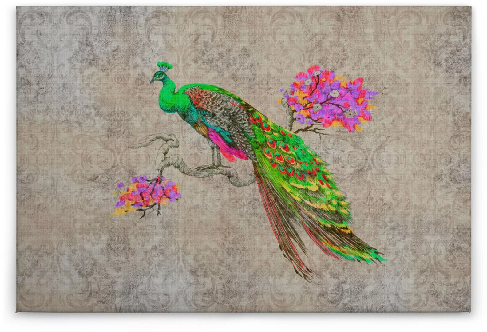 A.S. Création Leinwandbild "peacock", Kunst-Tiere-Kinder, (1 St.), Keilrahm günstig online kaufen