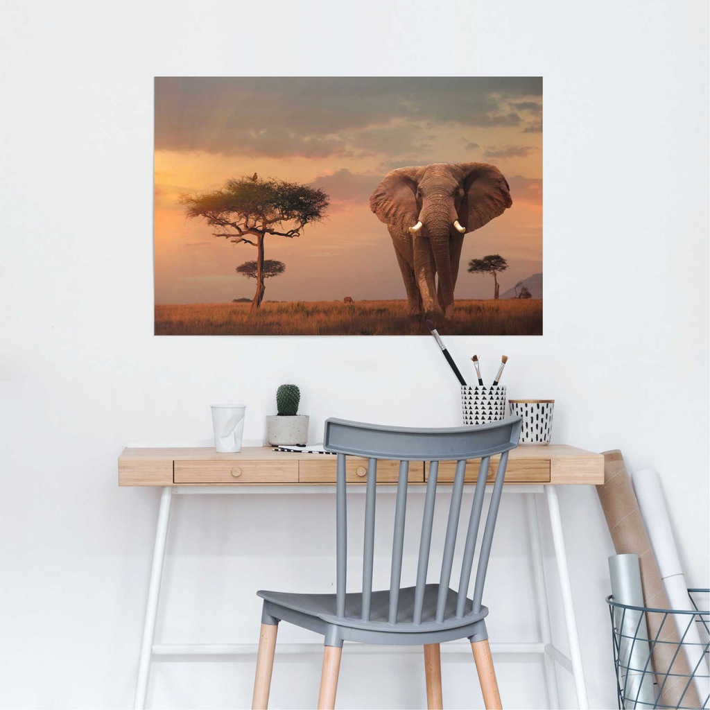 Reinders! Poster »Afrikas Wildtiere Elefant«, (1 St.) günstig online kaufen