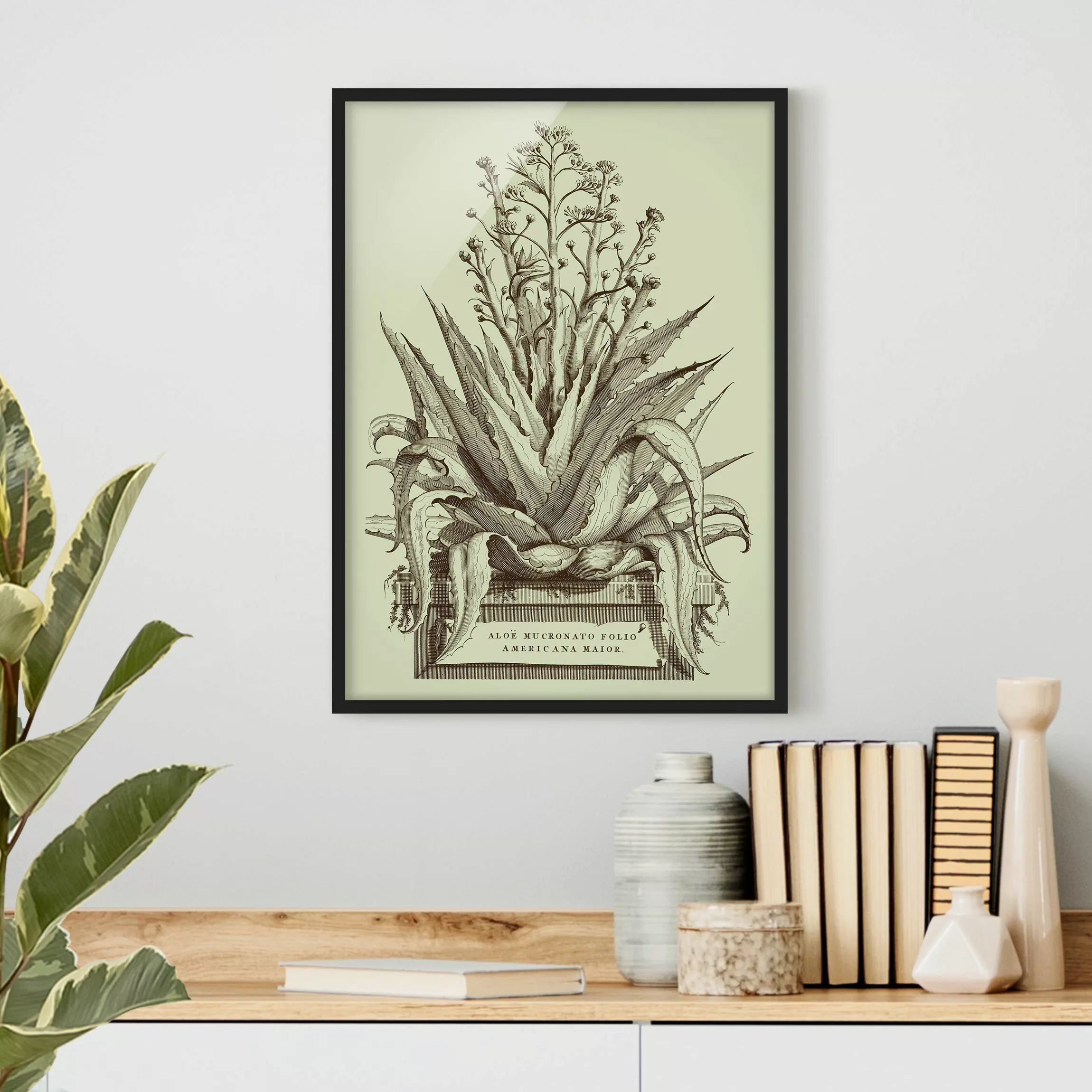Bild mit Rahmen Blumen - Hochformat Vintage Aloe Vera Americana Major günstig online kaufen