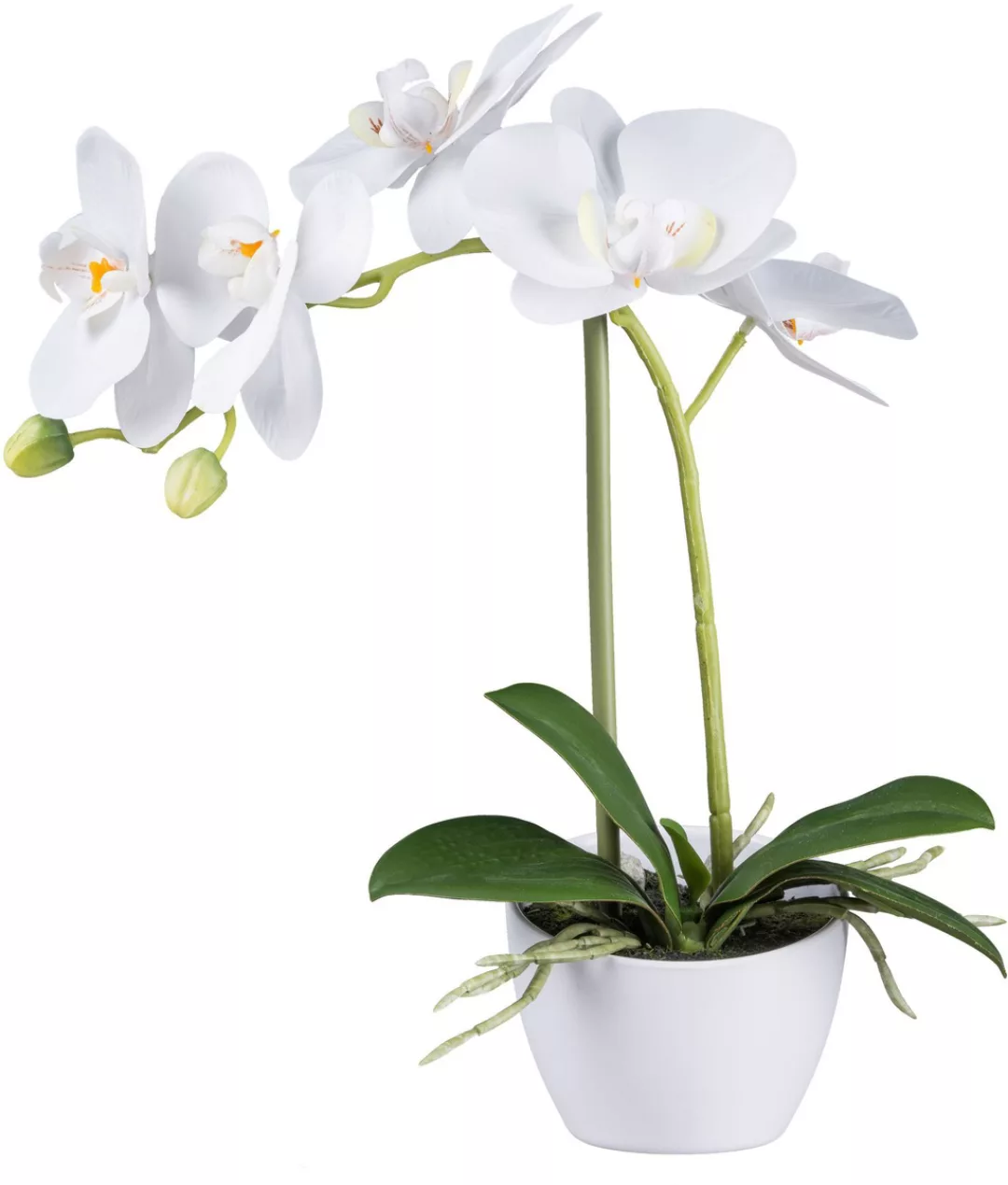 Creativ green Kunstorchidee "Orchidee Phalaenopsis", im weißen Design-Topf günstig online kaufen