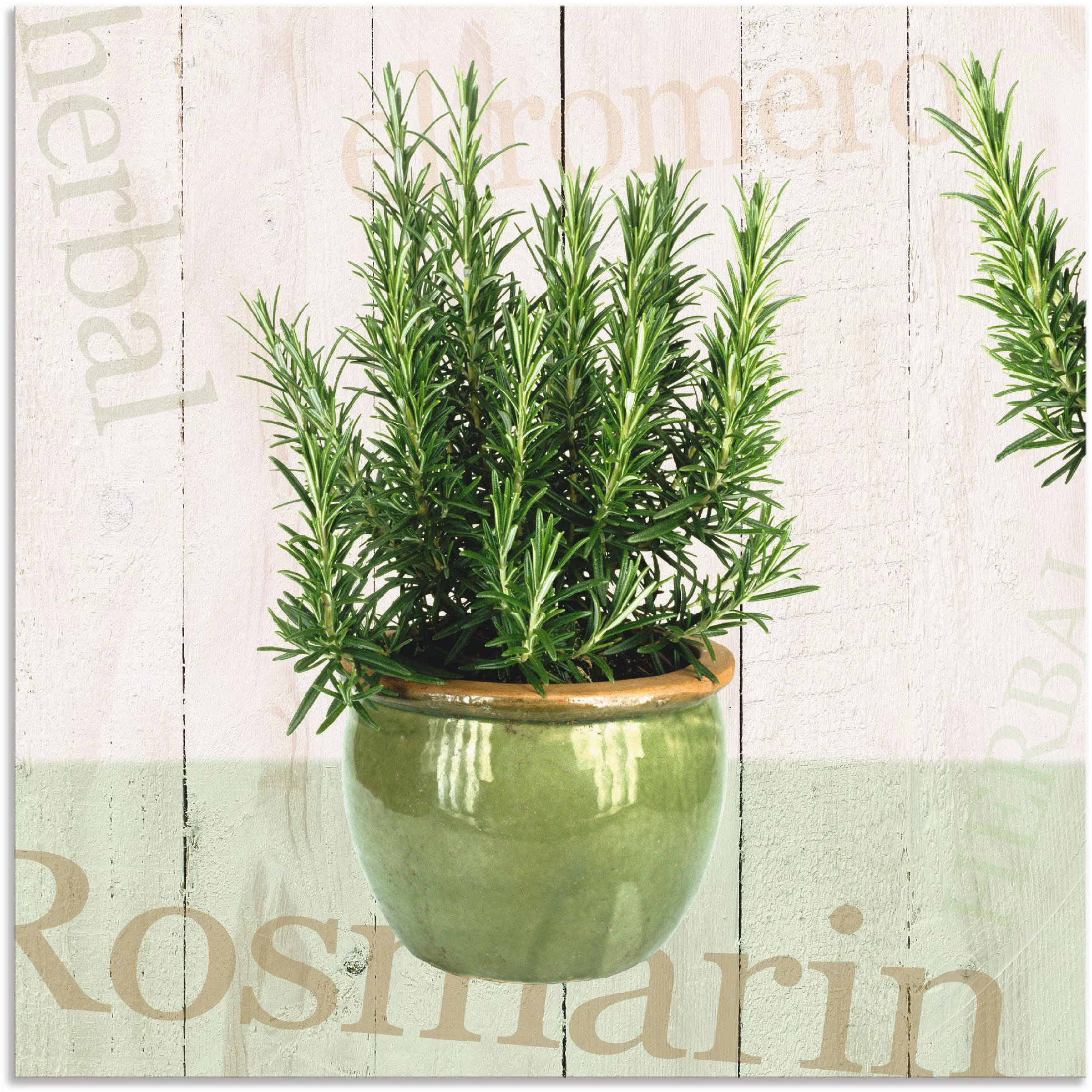 Artland Wandbild "Rosmarin", Pflanzen, (1 St.), als Alubild, Outdoorbild, L günstig online kaufen