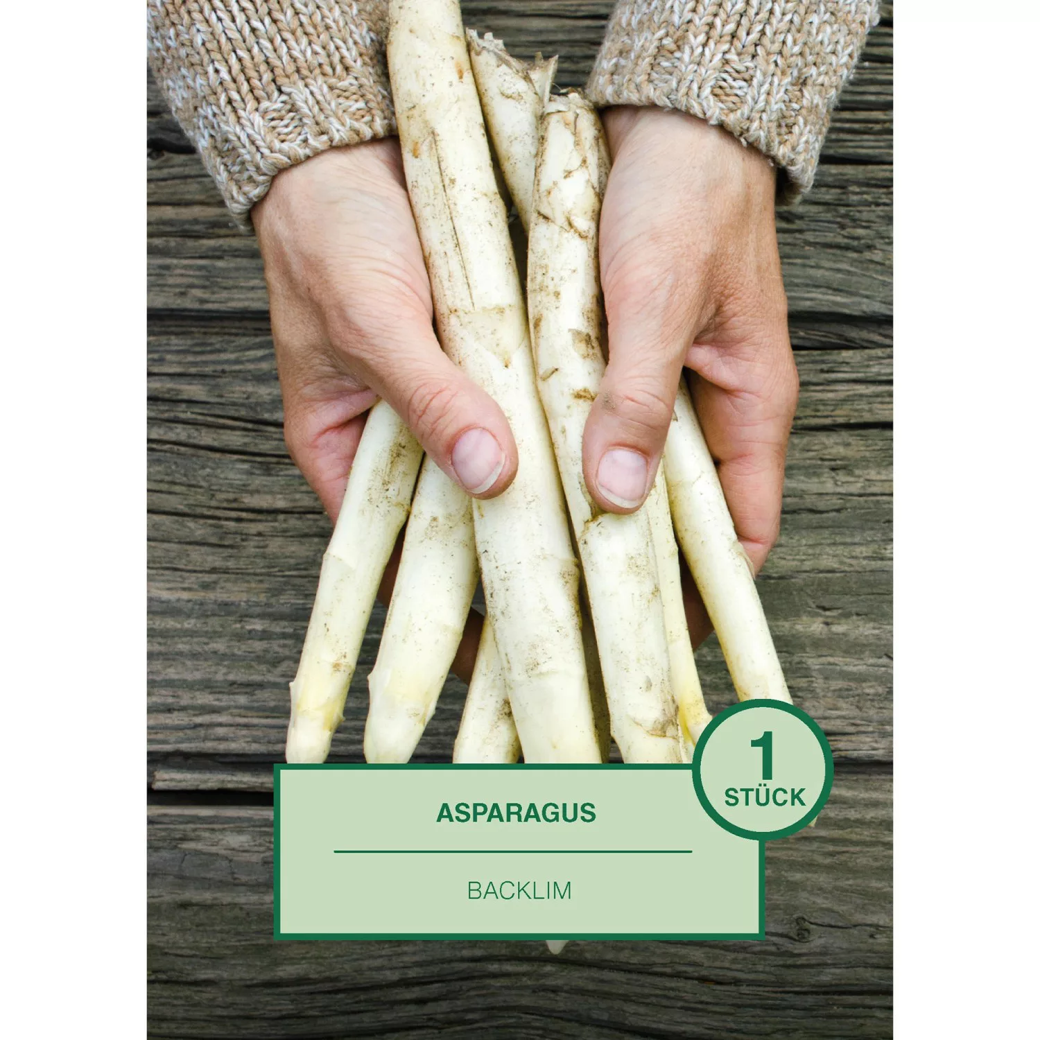 Asparagus 1 Stück Aspargus officinalis Blacklim günstig online kaufen