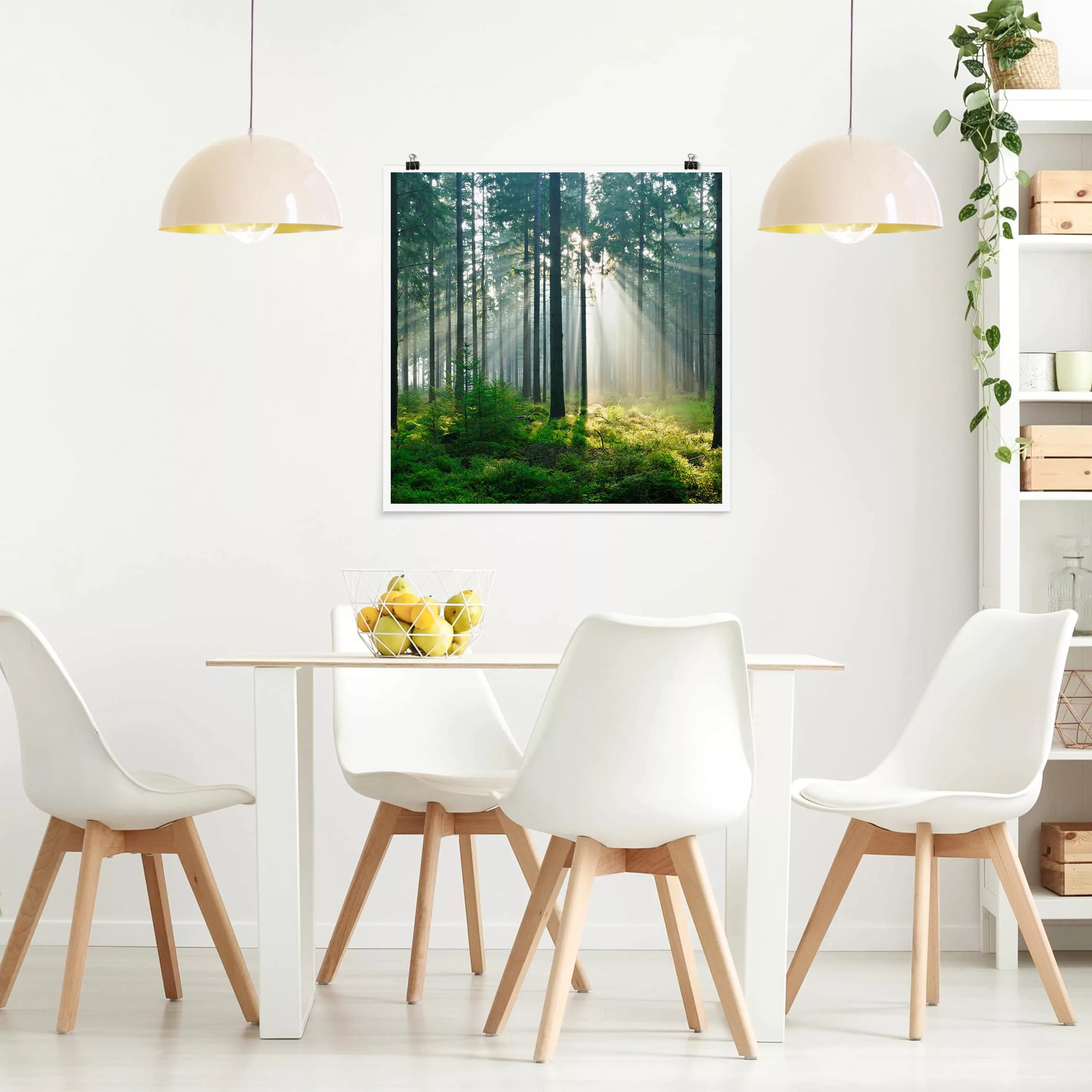 Poster Natur & Landschaft - Quadrat Enlightened Forest günstig online kaufen