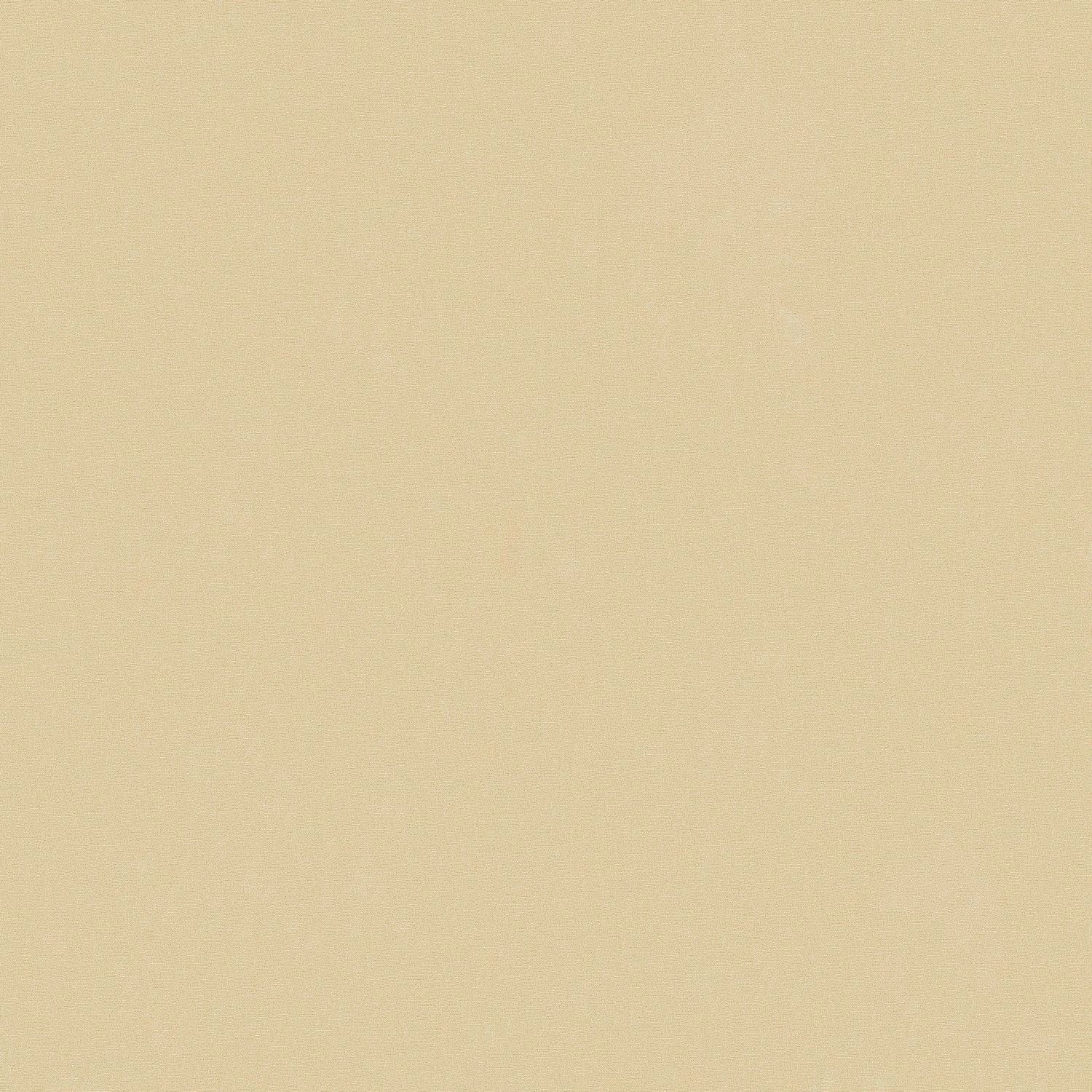 PROFHOME 369327-GU Ton-in-Ton Tapete Uni Matt Creme 0,53 m x 10,05 m 5,33 m günstig online kaufen
