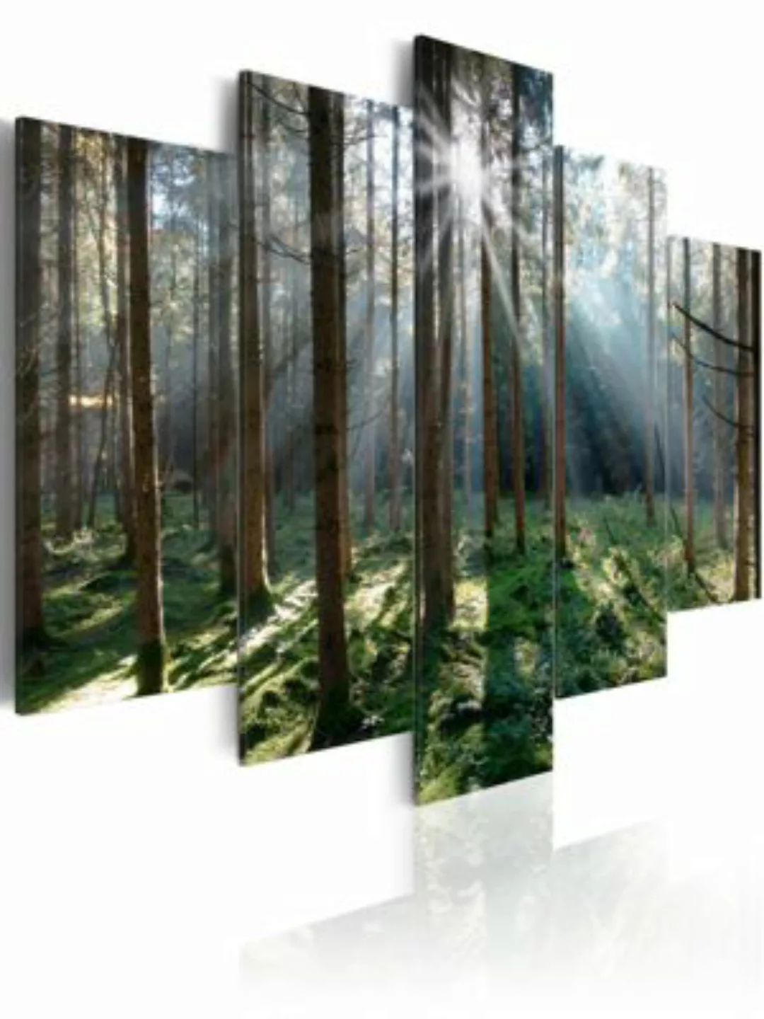 artgeist Wandbild Fairytale Forest mehrfarbig Gr. 200 x 100 günstig online kaufen