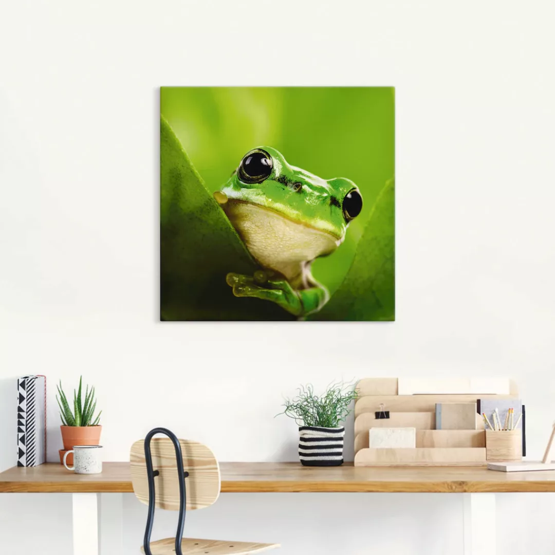 Artland Wandbild "Ausspähender Frosch", Wassertiere, (1 St.), als Leinwandb günstig online kaufen