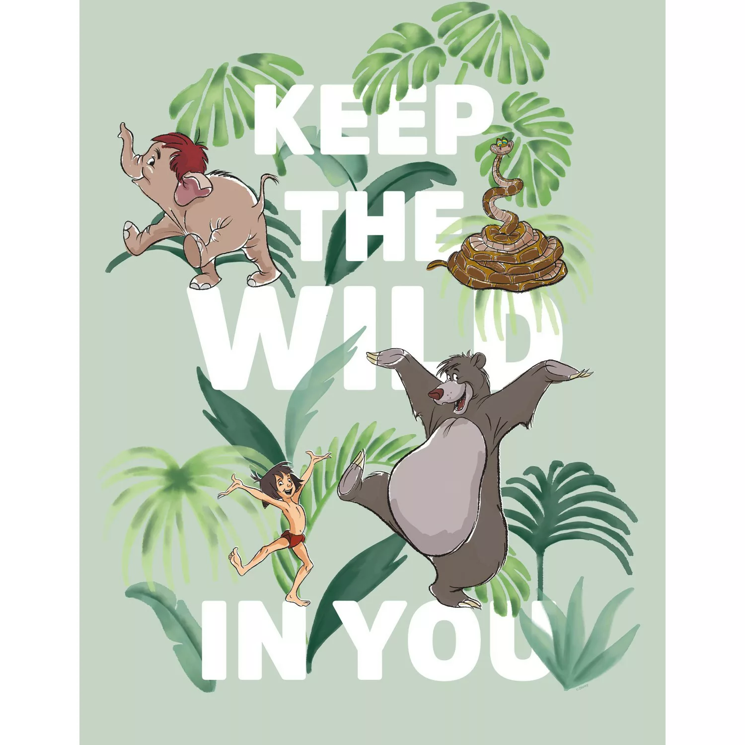 Komar Wandbild Jungle Book Wild 40 x 50 cm günstig online kaufen